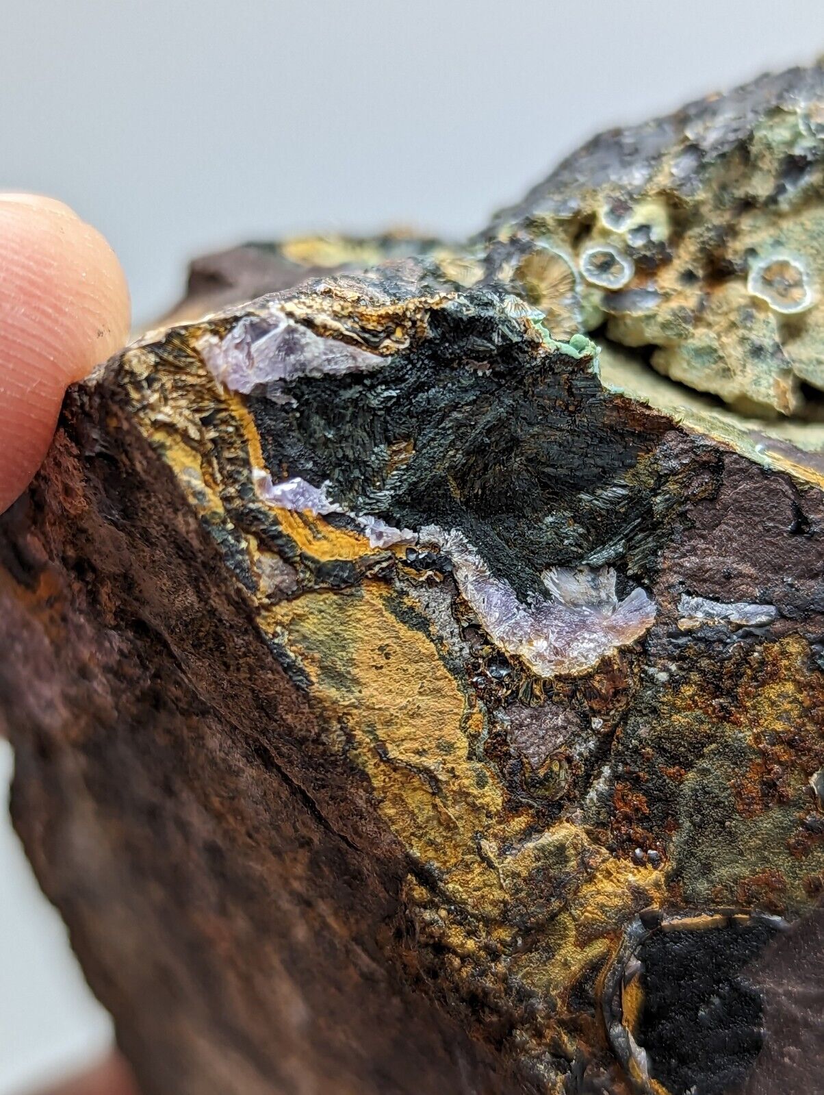 Super Rare Kidwellite Strengite Cacoxenite Combo -York Mine Polk Co Arkansas - Collectibles:Rocks Fossils &