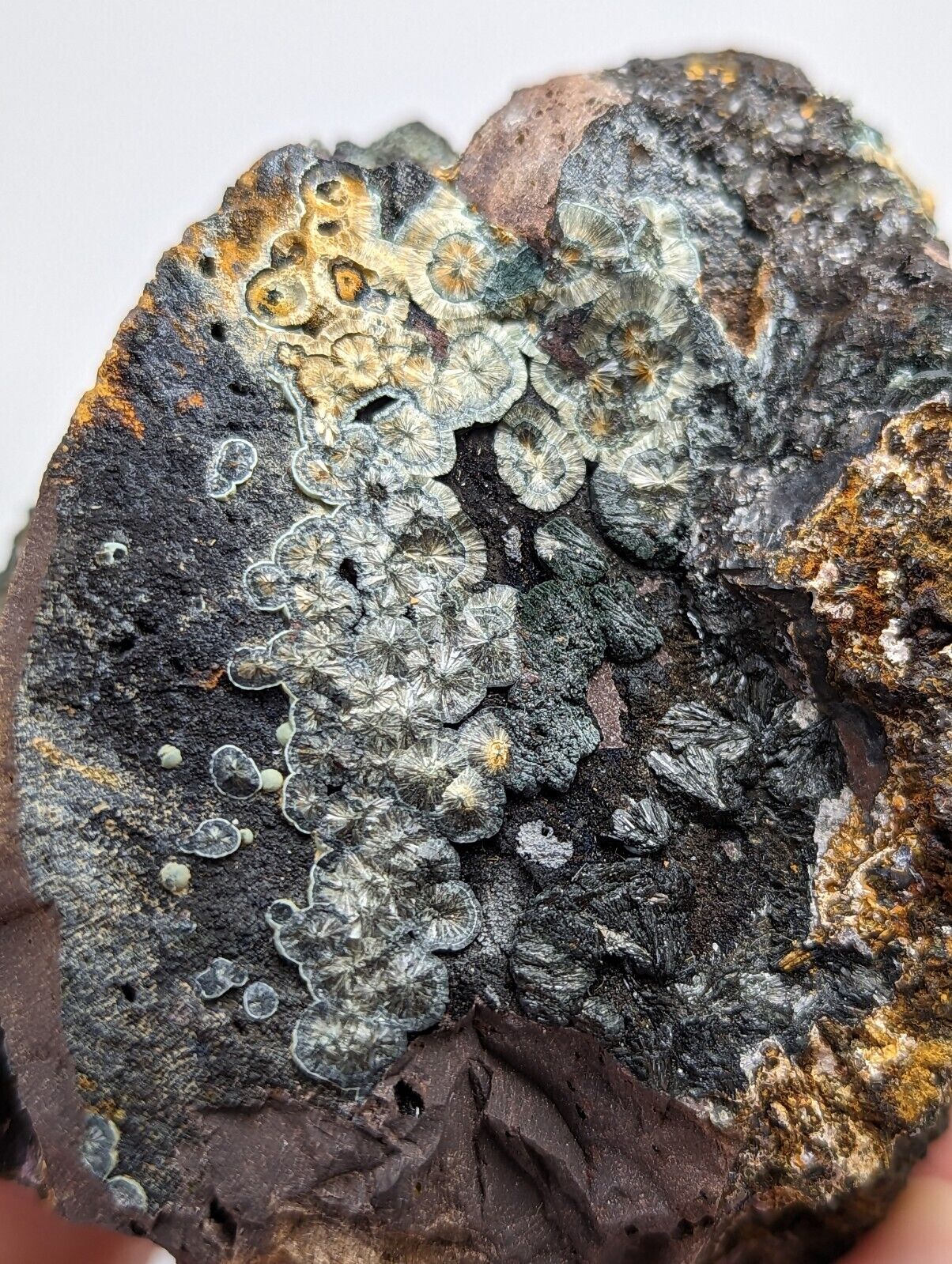 Super Rare Kidwellite Strengite Cacoxenite Combo -York Mine Polk Co Arkansas - Collectibles:Rocks Fossils &