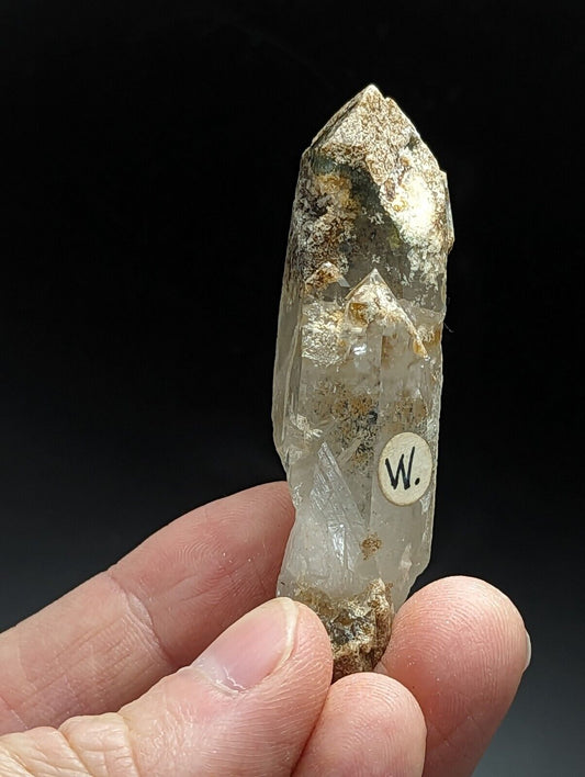 Super Rare Willis Mine Chlorite Phantom Quartz Crystal Point Paron Arkansas - Collectibles:Rocks Fossils &
