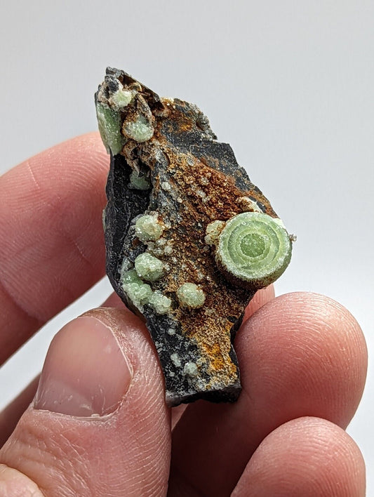Super Unique Wavellite - Fantastic 1990s Old Stock - Mauldin Mountain Arkansas - Collectibles:Rocks Fossils &