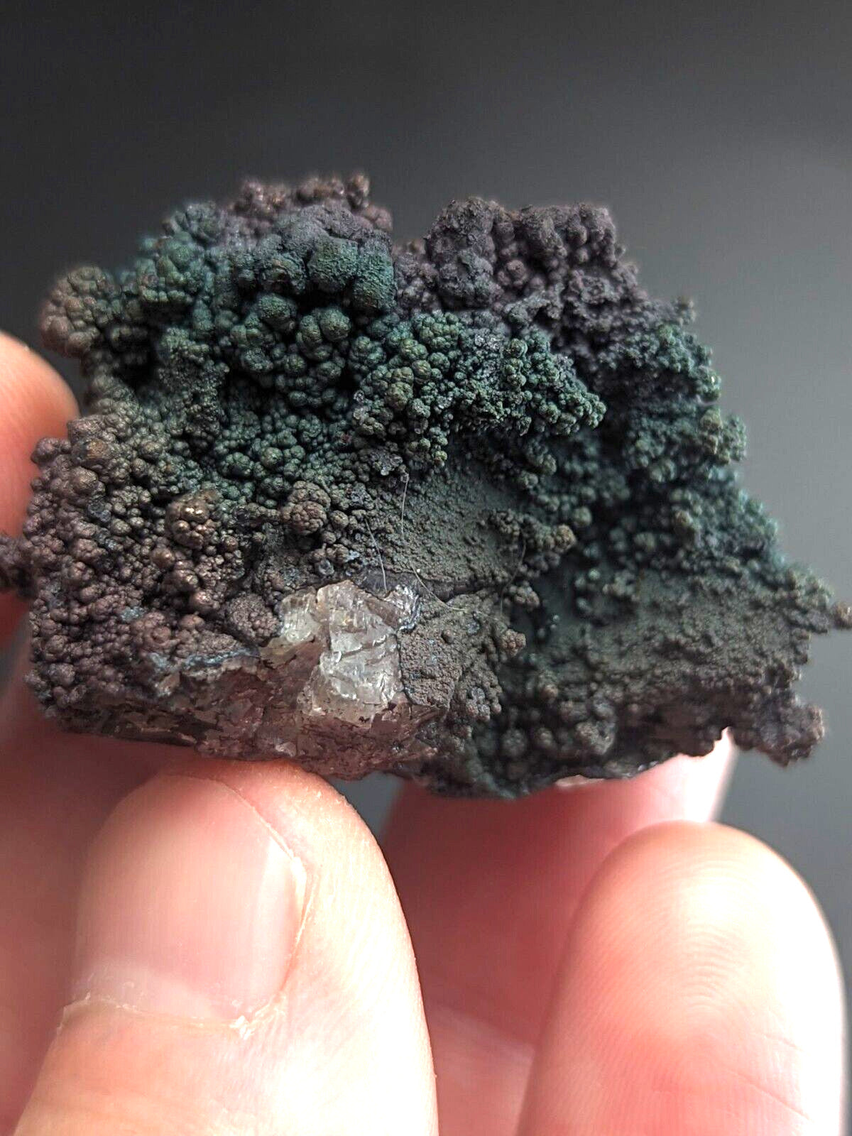 Turgite Iridescent Hematite Goethite Graves Mountain Georgia USA Old Stock - Collectibles:Rocks Fossils &