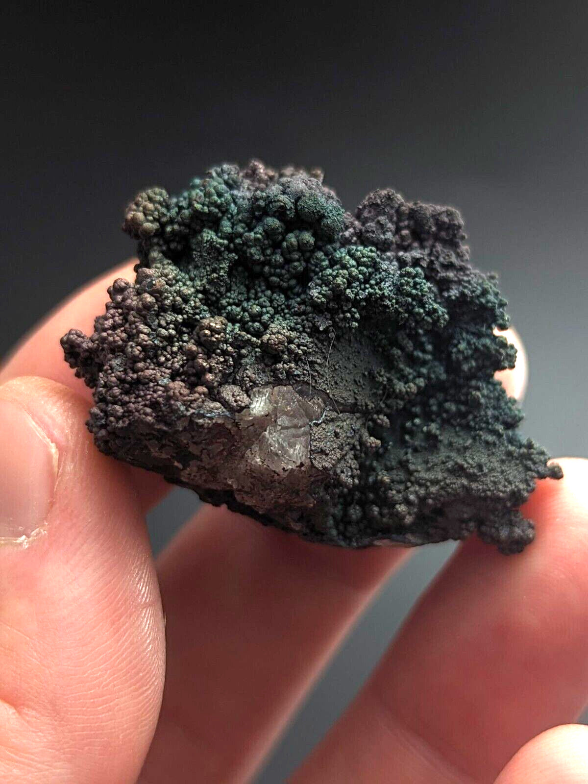 Turgite Iridescent Hematite Goethite Graves Mountain Georgia USA Old Stock - Collectibles:Rocks Fossils &