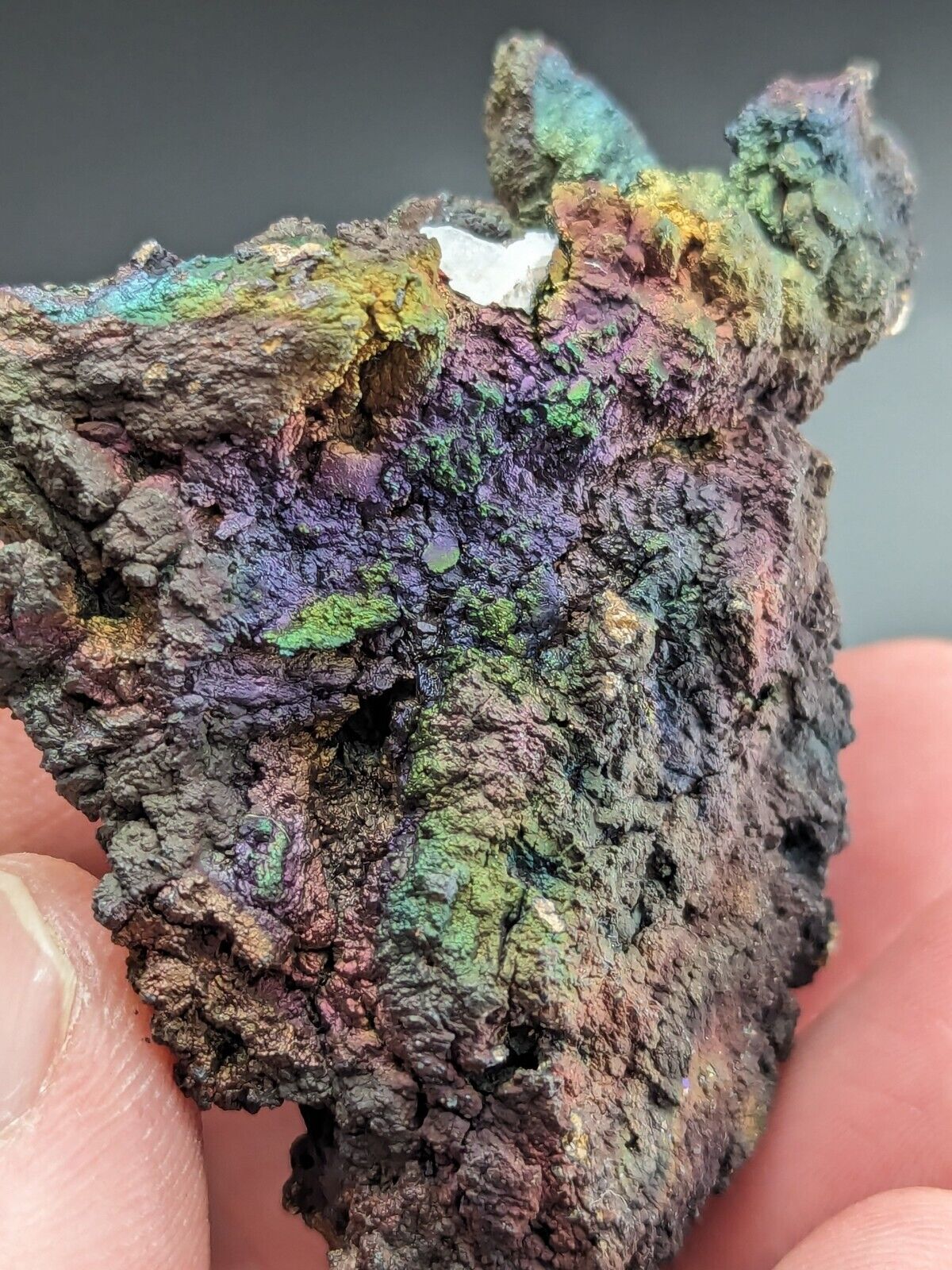 Turgite Iridescent Hematite on Quartz Graves Mountain Georgia Old Collection - Collectibles:Rocks Fossils &