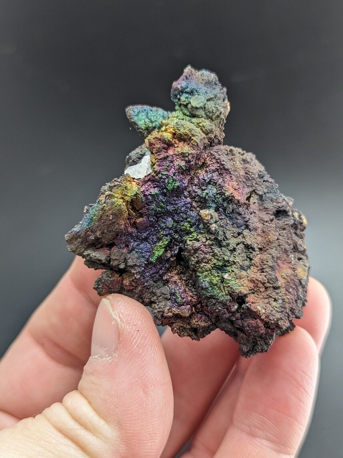 Turgite Iridescent Hematite on Quartz Graves Mountain Georgia Old Collection - Collectibles:Rocks Fossils &