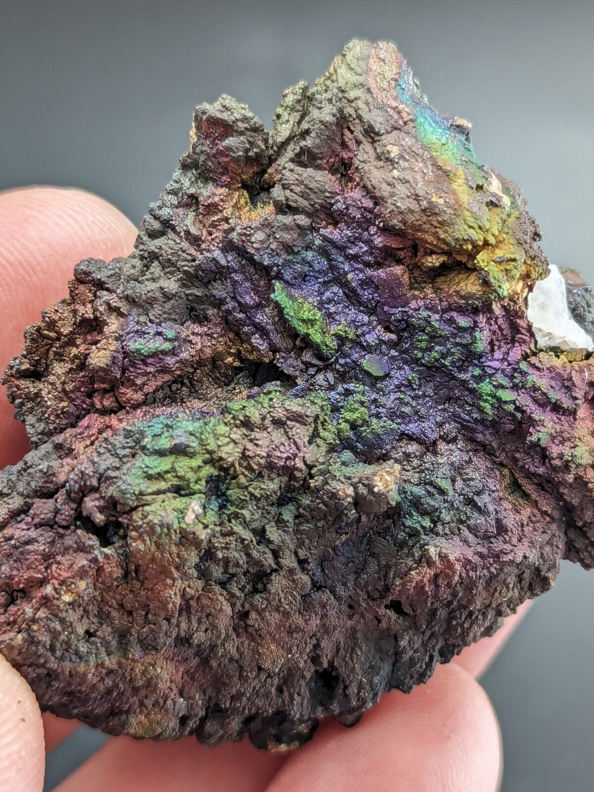 Turgite Iridescent Hematite on Quartz Graves Mountain Georgia Old Collection - Collectibles:Rocks Fossils &
