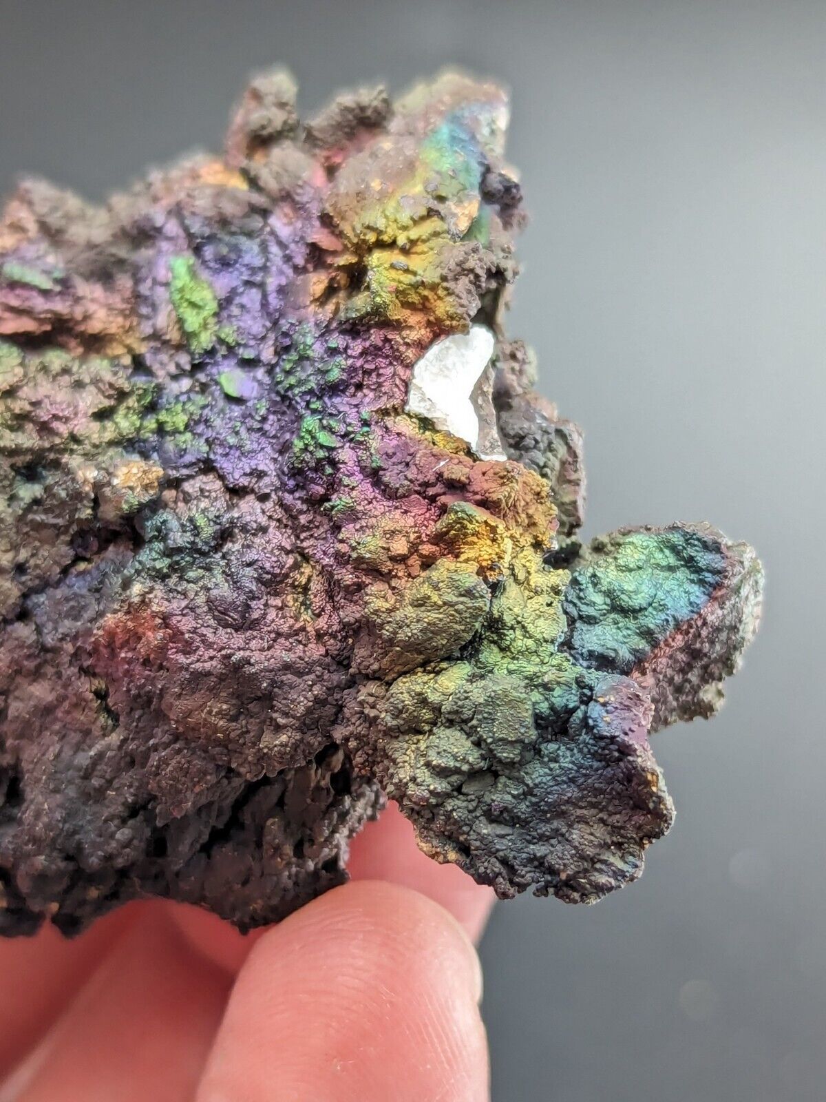 Turgite Iridescent Hematite on Quartz Graves Mountain Georgia Old Collection - Collectibles:Rocks Fossils &