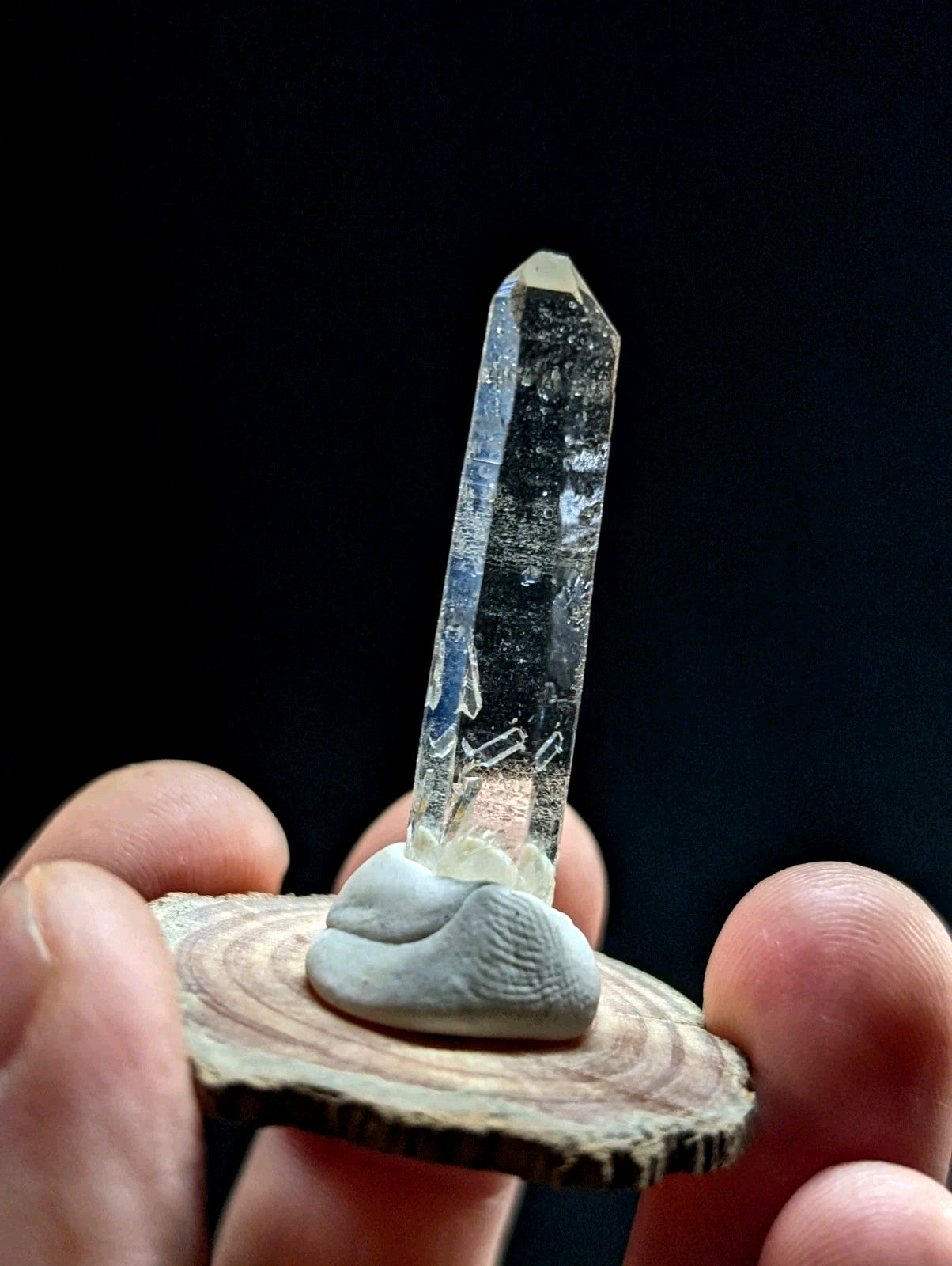 A clear, translucent quartz crystal with a pointed tip and natural inclusions stands upright on a small, grayish stone base set within a circular wooden slice.