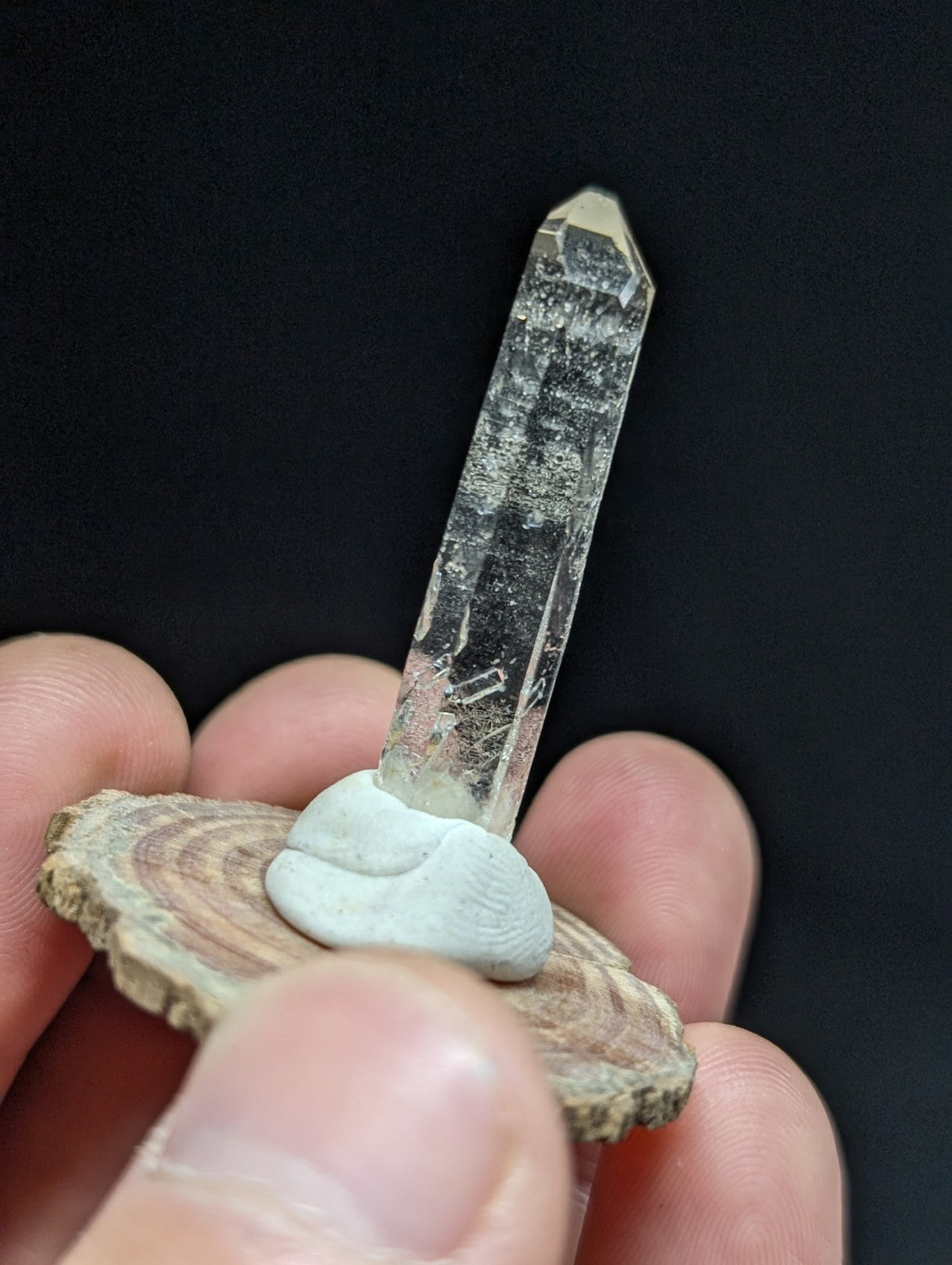 A clear quartz crystal with a pointed tip, mounted on a white ceramic base and resting atop a circular wooden slice.