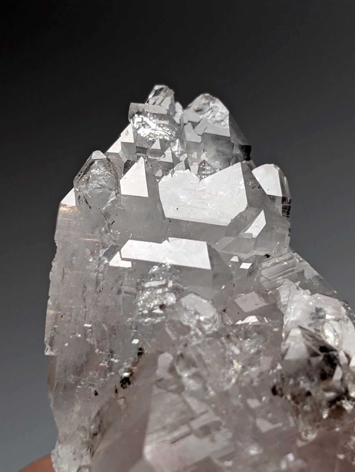Unique double terminated floater clear quartz crystal cluster with sharp facets and subtle inclusions from arkansas usa