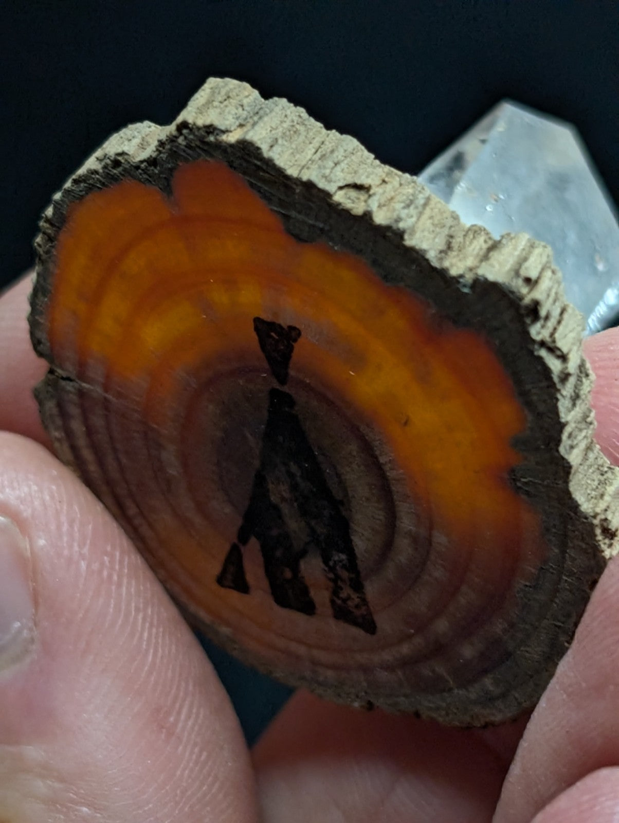 A hand holds a circular wooden slice with vibrant orange and amber wood grain, featuring an engraved black silhouette of a teepee.