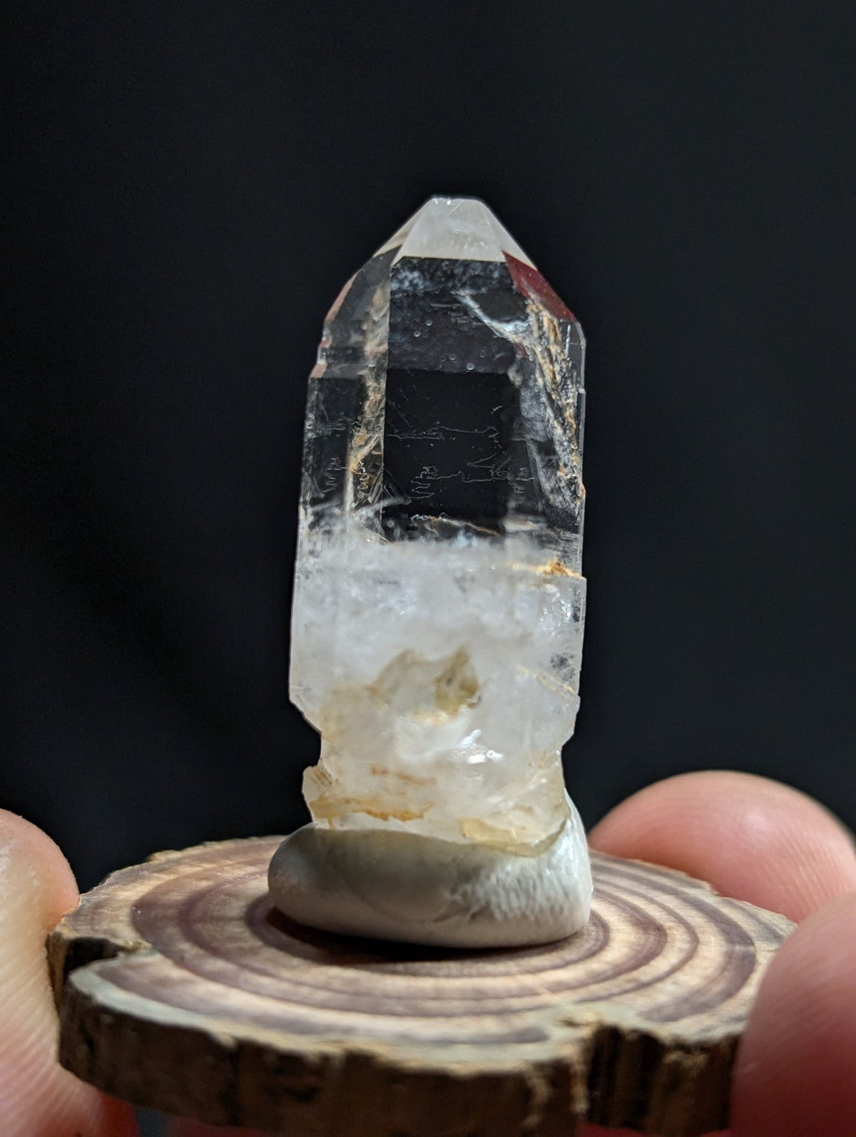 A clear quartz crystal with a pointed tip and natural inclusions, displayed on a circular wooden slice.