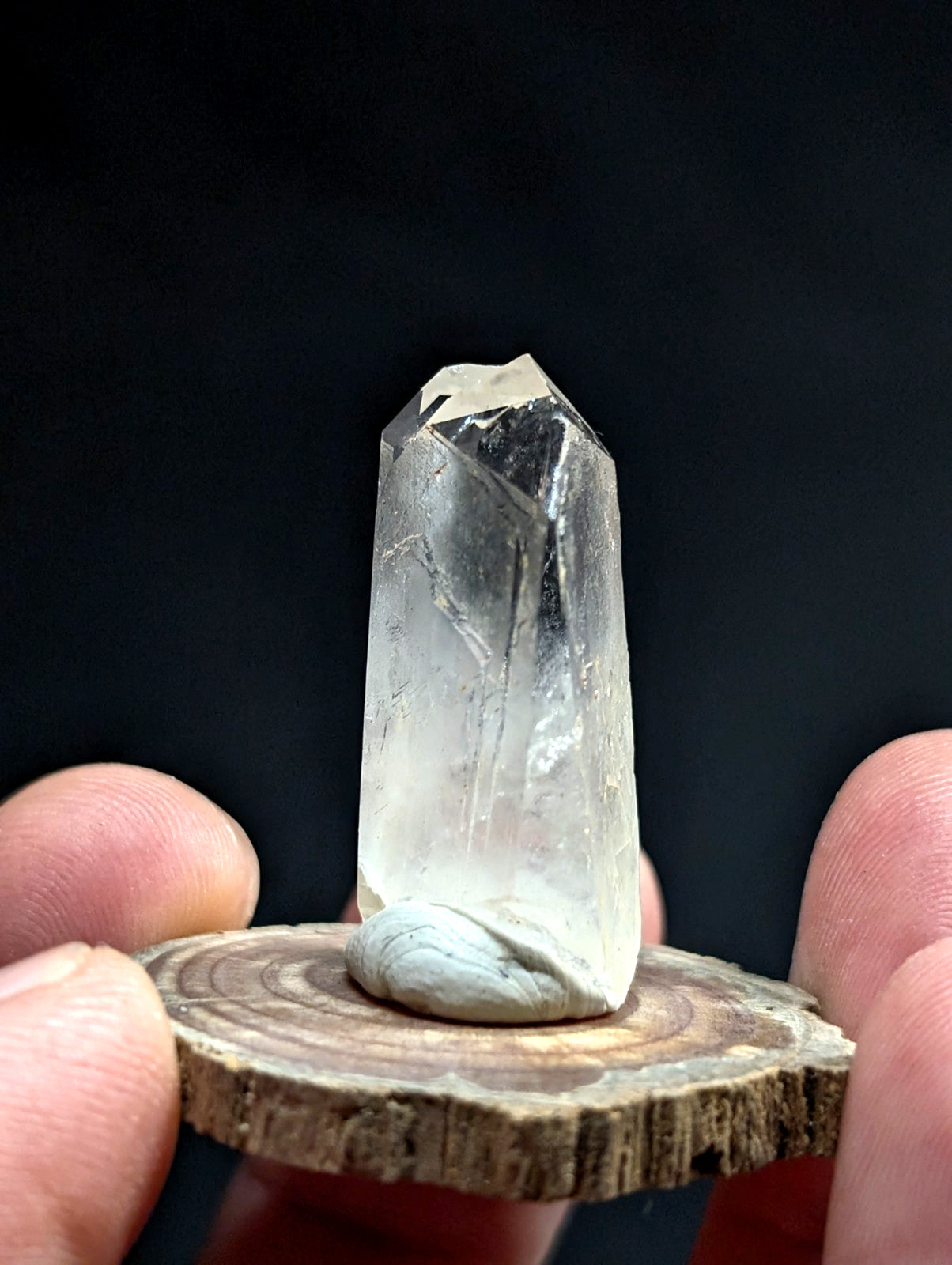 A clear, translucent quartz crystal with a pointed top and natural facets sits atop a small, round wooden slice.