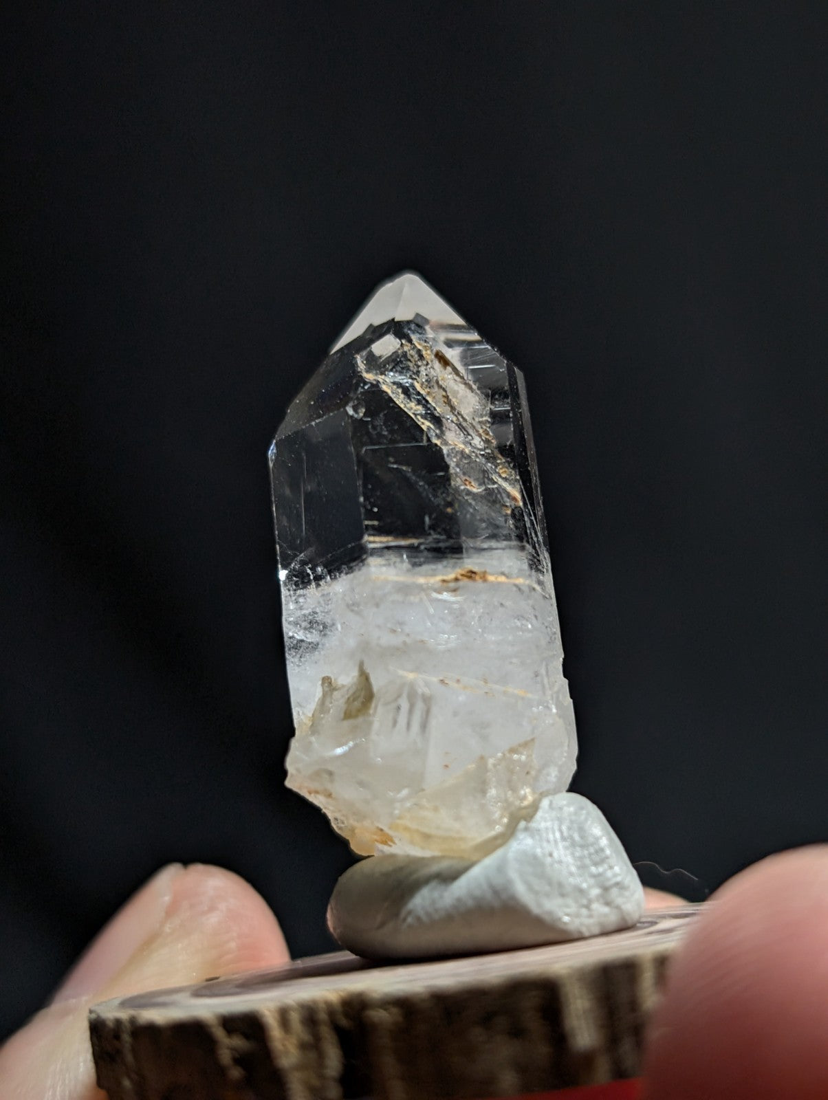 A clear quartz crystal with golden inclusions, mounted on a smooth white stone base.