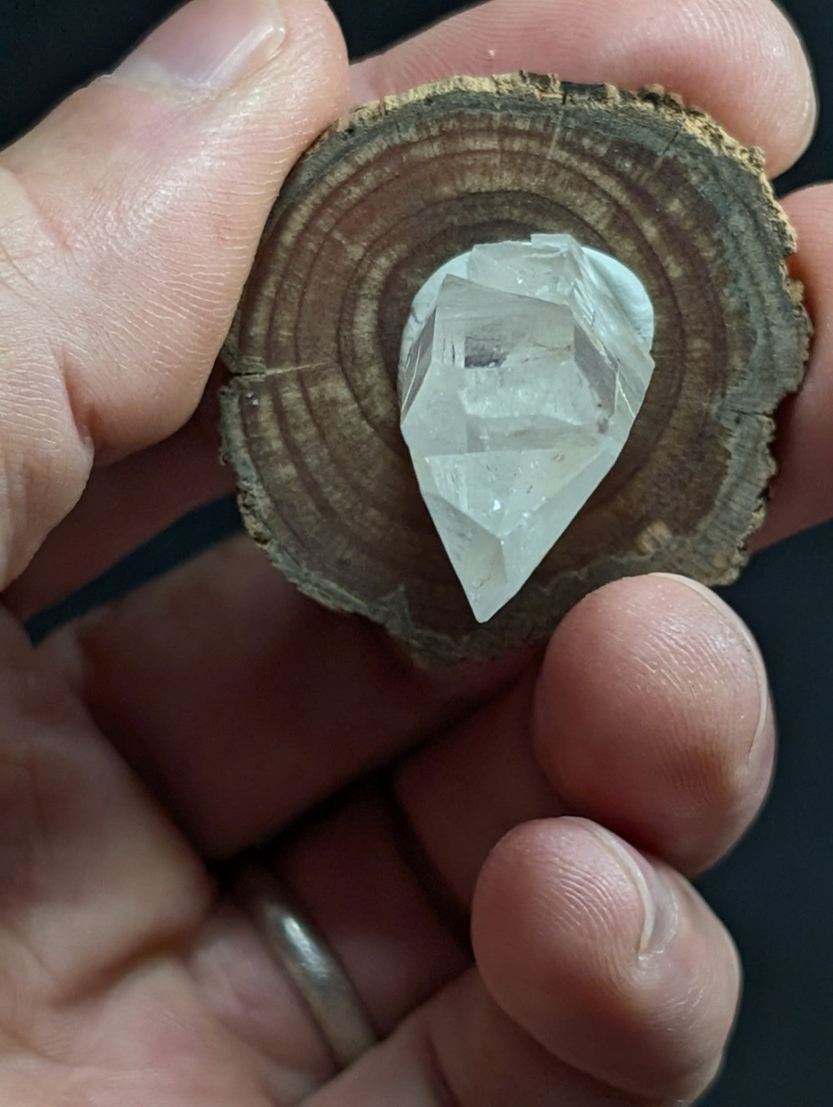 A clear, faceted quartz crystal nestled in a circular slice of rustic wood.