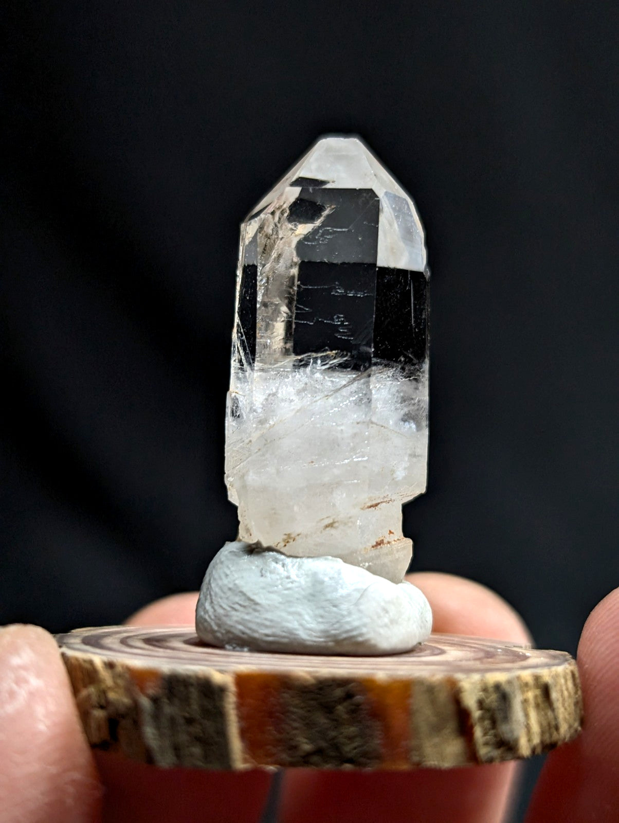 A clear quartz crystal with a dark inclusions and natural facets, displayed on a small white stone base atop a rustic wooden slice.