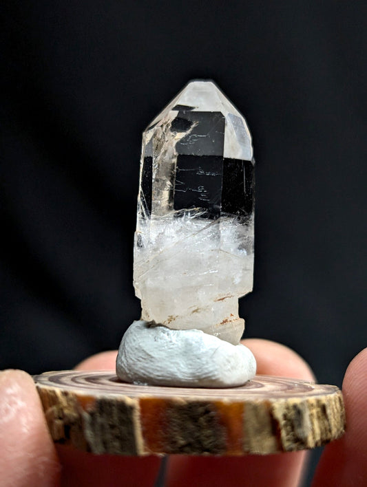 A clear quartz crystal with a dark inclusions and natural facets, displayed on a small white stone base atop a rustic wooden slice.