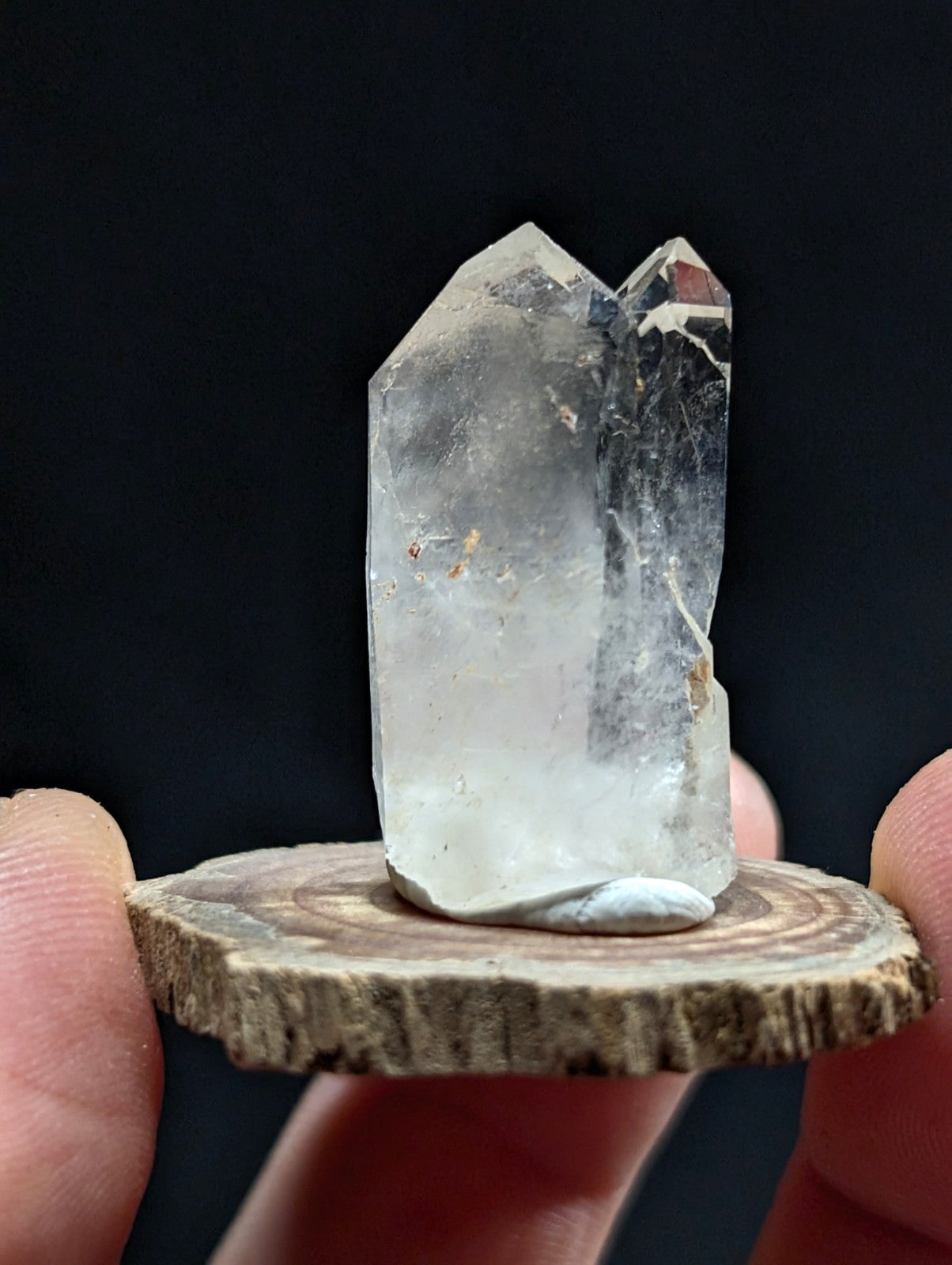 A clear, translucent quartz crystal with a pointed top and natural inclusions sits atop a rustic wooden slice.