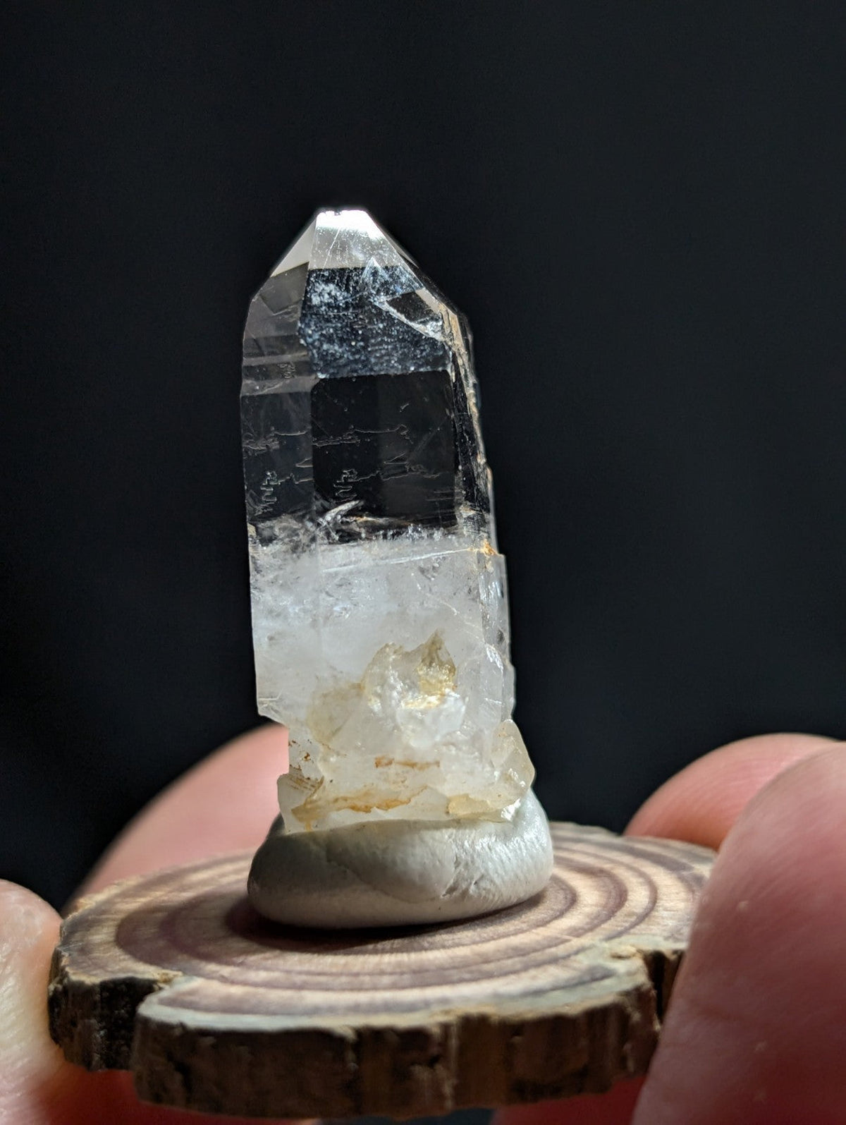 A clear quartz crystal with a pointed tip and natural inclusions, mounted on a smooth white base atop a rustic wooden slice.