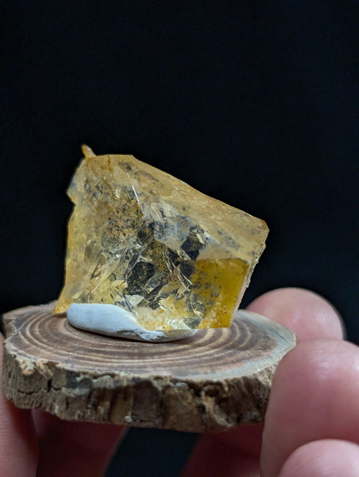 A translucent yellow amber specimen with golden inclusions, displayed on a rustic wooden slice.