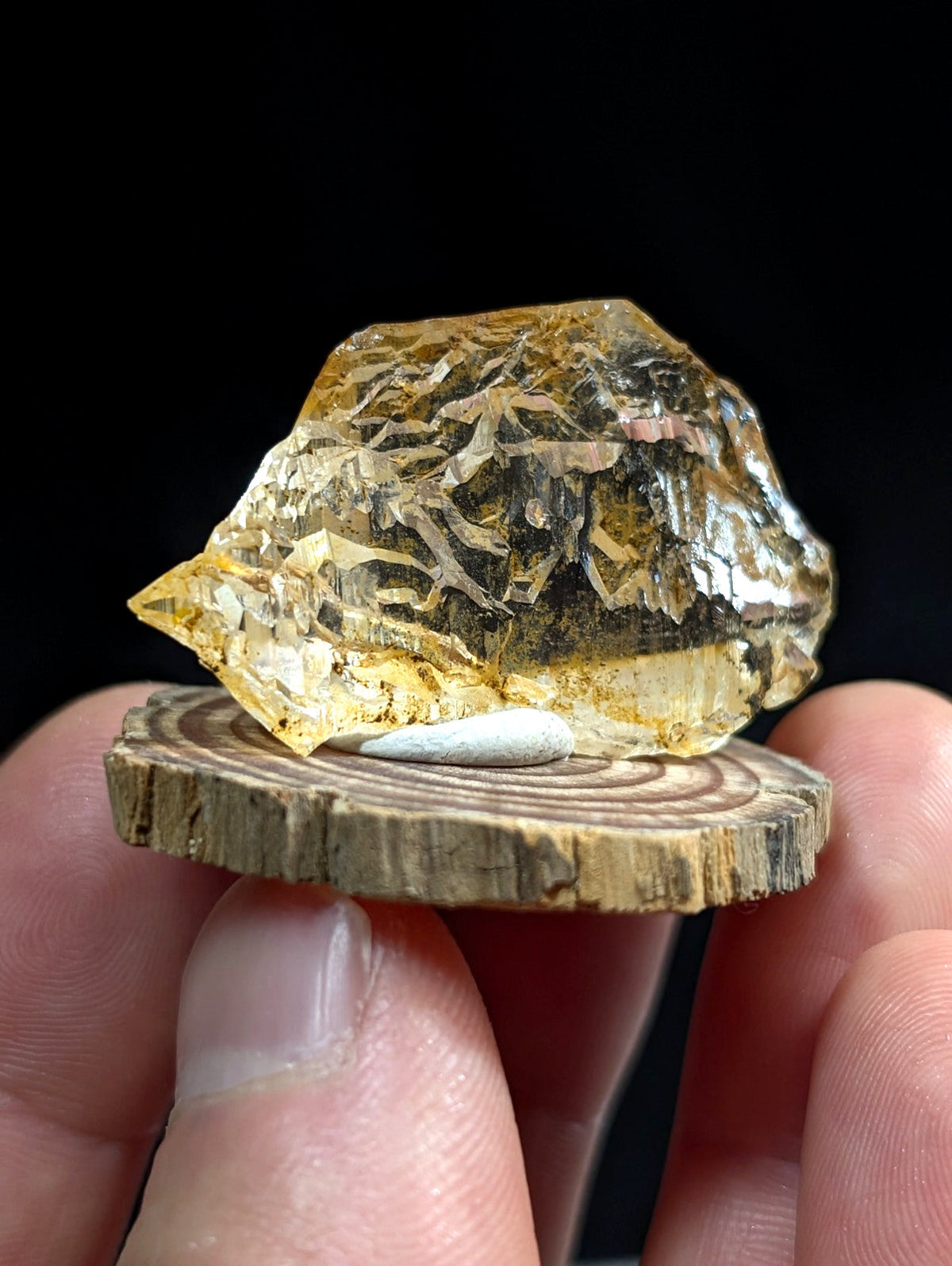 A translucent golden-yellow quartz crystal point with intricate patterns on a wooden slice base from garland county arkansas