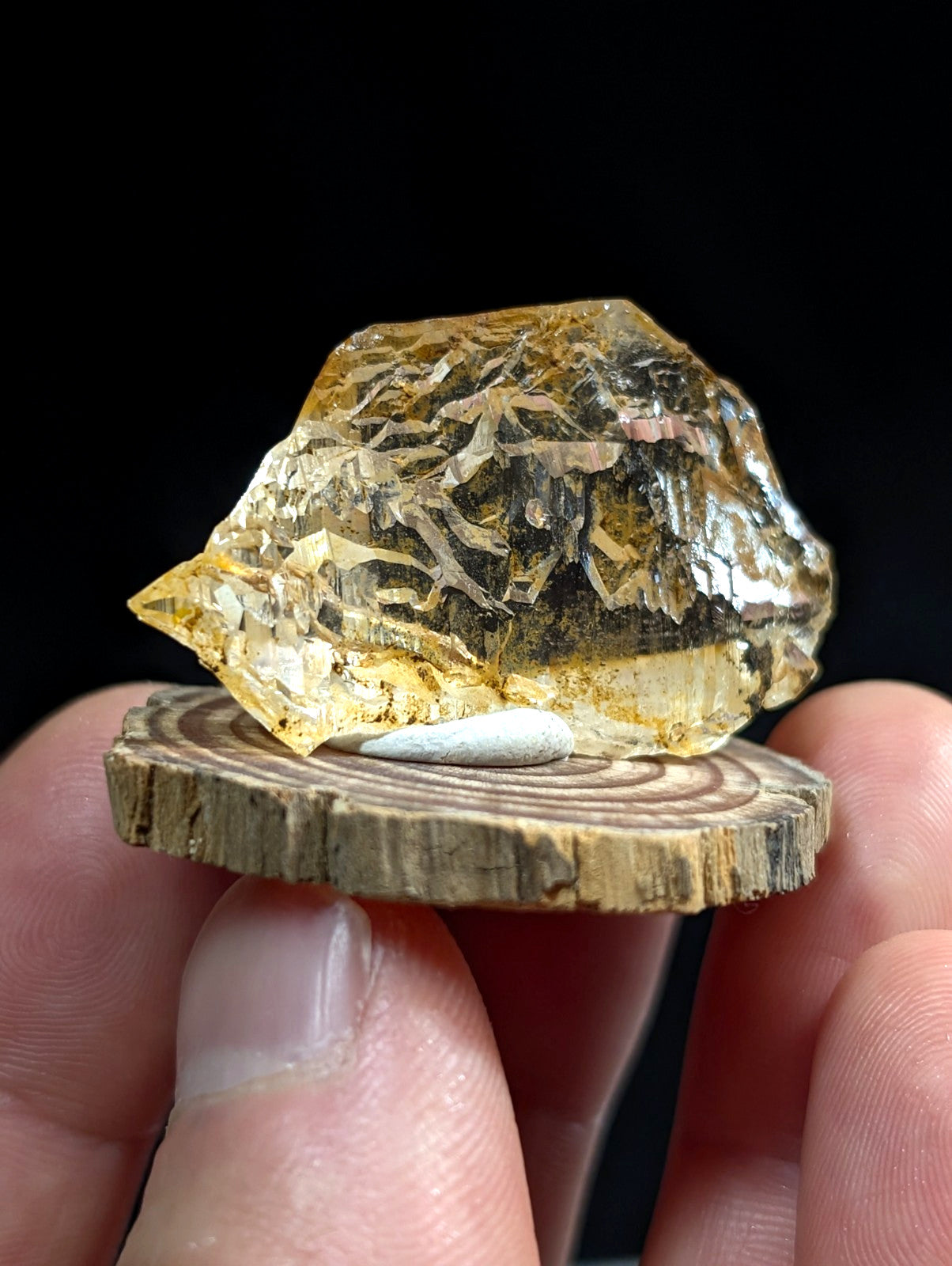 A translucent golden-yellow quartz crystal point with intricate patterns on a wooden slice base from garland county arkansas