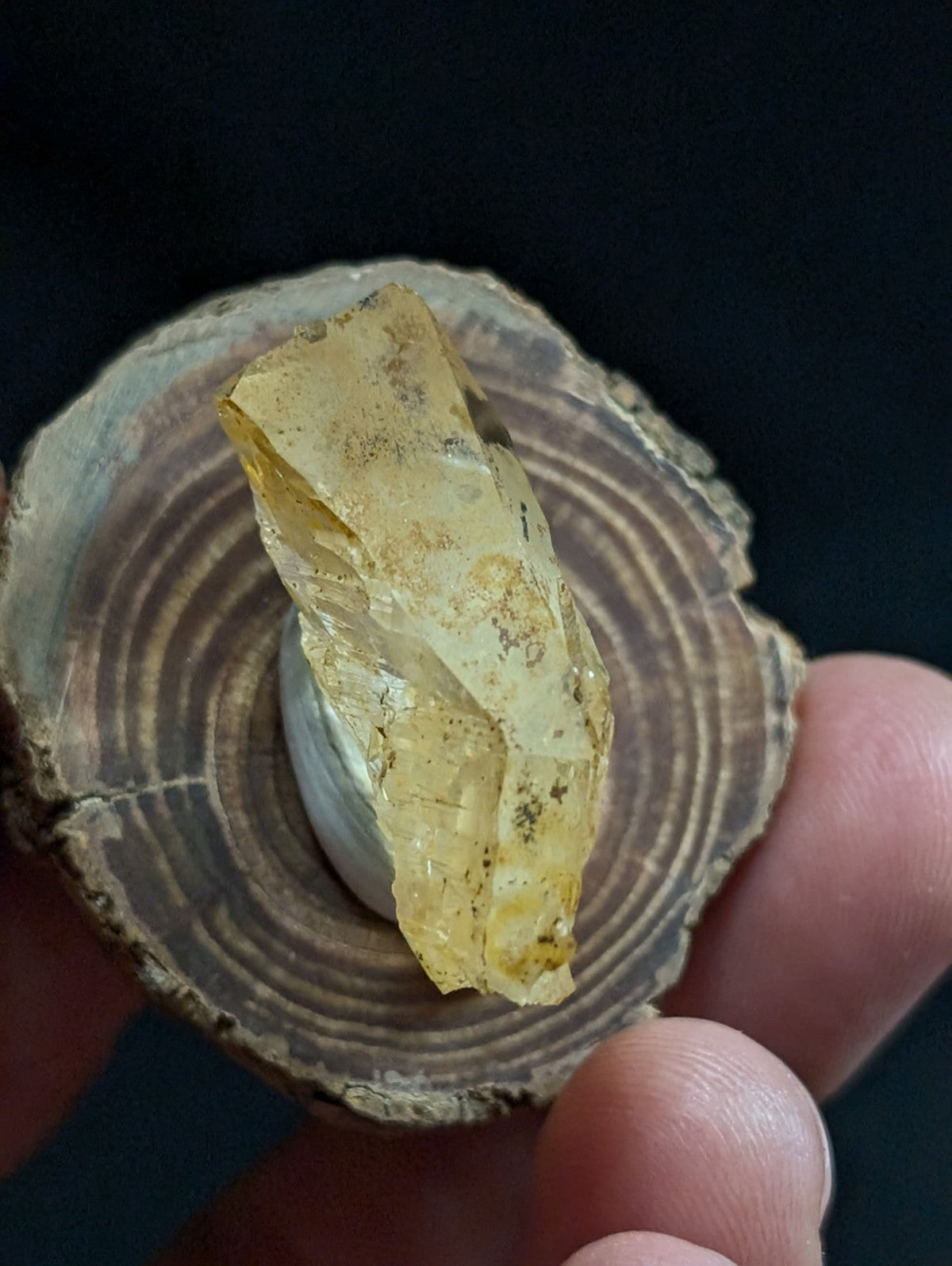 A translucent yellowish amber-colored mineral specimen with visible internal inclusions and a rough, irregular surface.