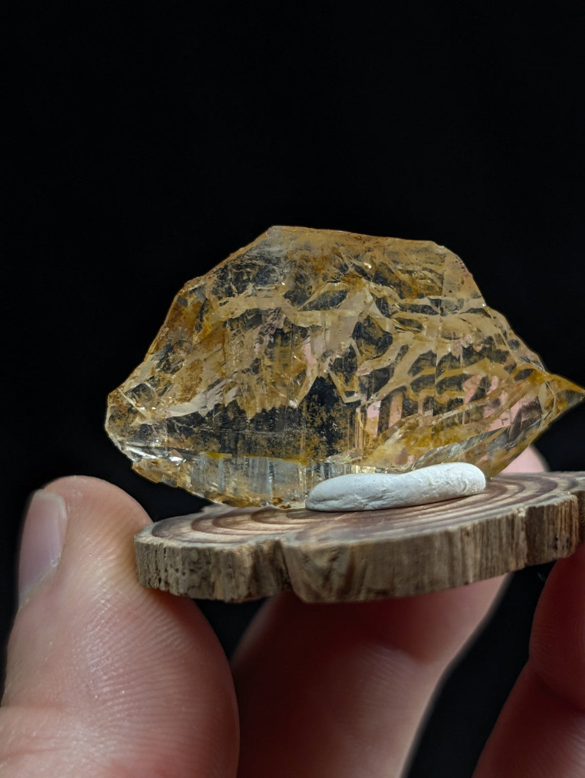 Unique etched quartz crystal point in translucent golden yellow with intricate patterns on a rustic wooden base slice