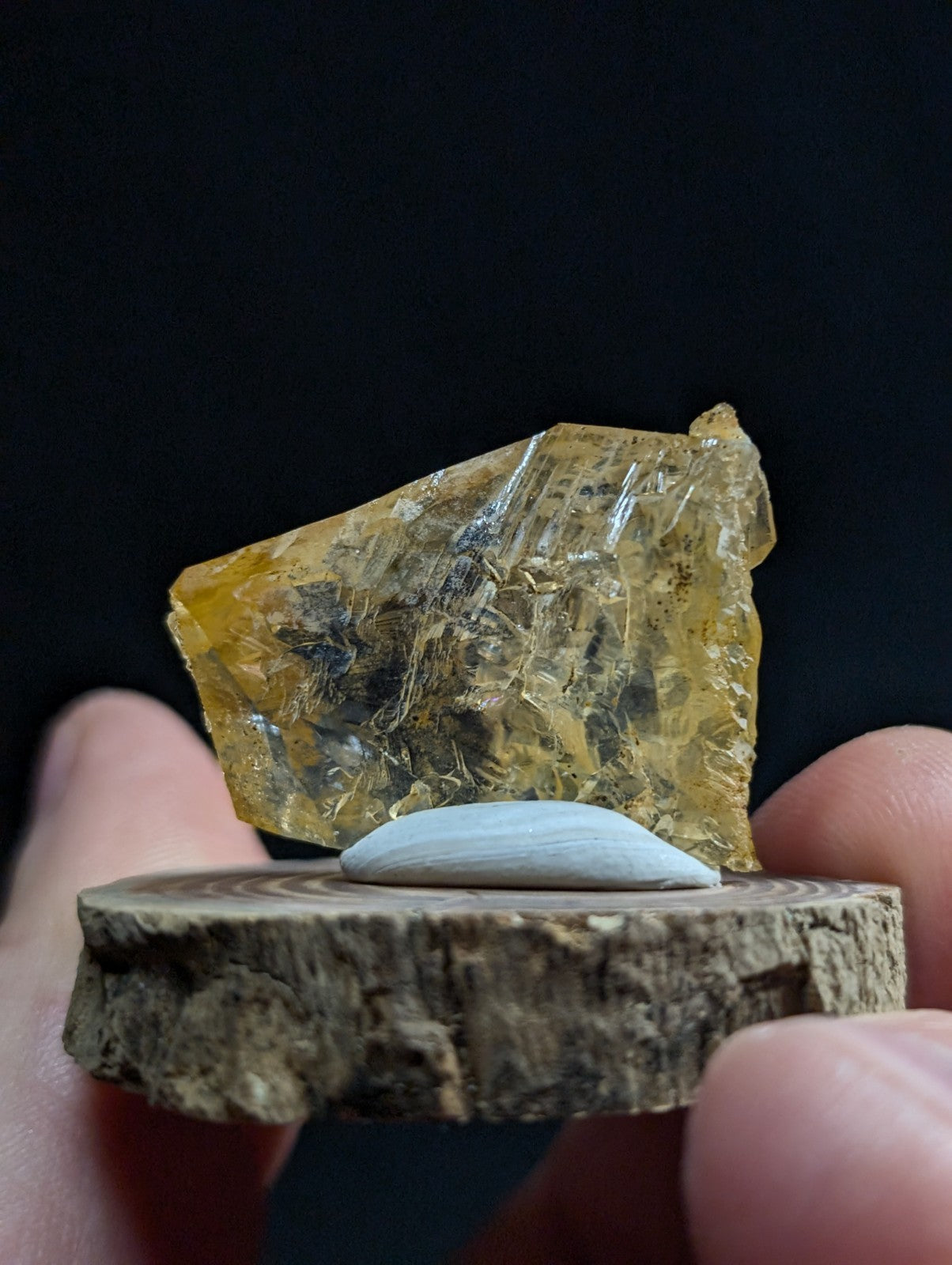 A translucent amber-colored mineral specimen with visible internal crystalline structures, displayed on a rustic wooden slice.