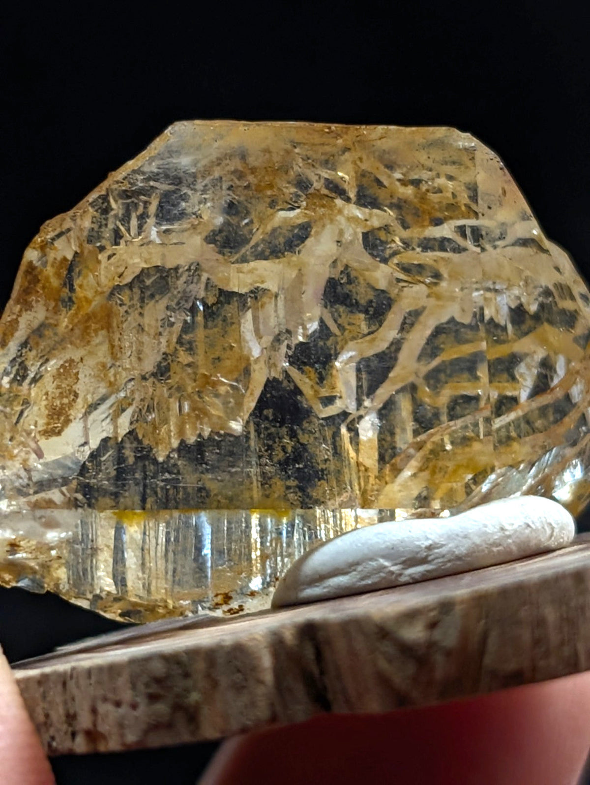 Unique etched quartz crystal point with intricate internal patterns in translucent golden yellow from garland county arkansas with base