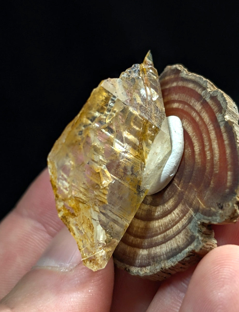 A translucent golden yellow etched quartz crystal point with visible internal striations from garland county arkansas