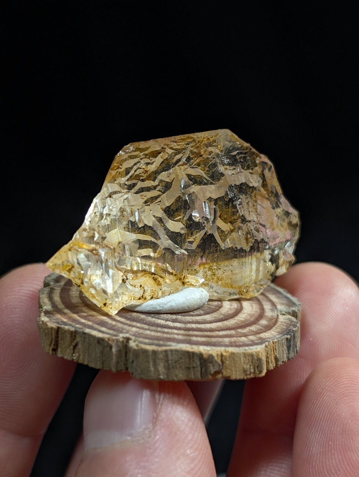 Unique etched quartz crystal point in translucent golden yellow with intricate patterns on a wooden slice base from Arkansas