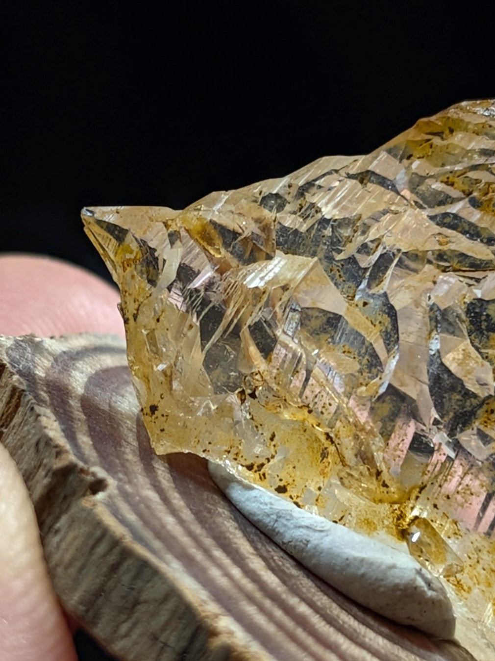 Unique etched quartz crystal point with golden yellow translucence and dark inclusions on a wooden base from Arkansas