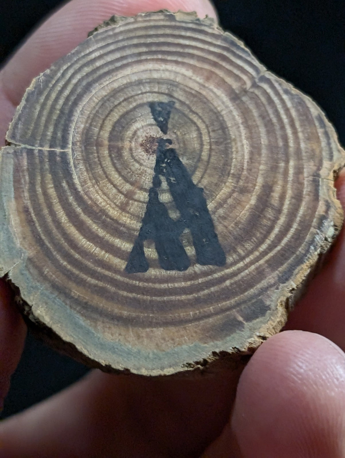 A hand holds a circular cross-section of wood with visible growth rings and a black painted silhouette of an abstract figure.