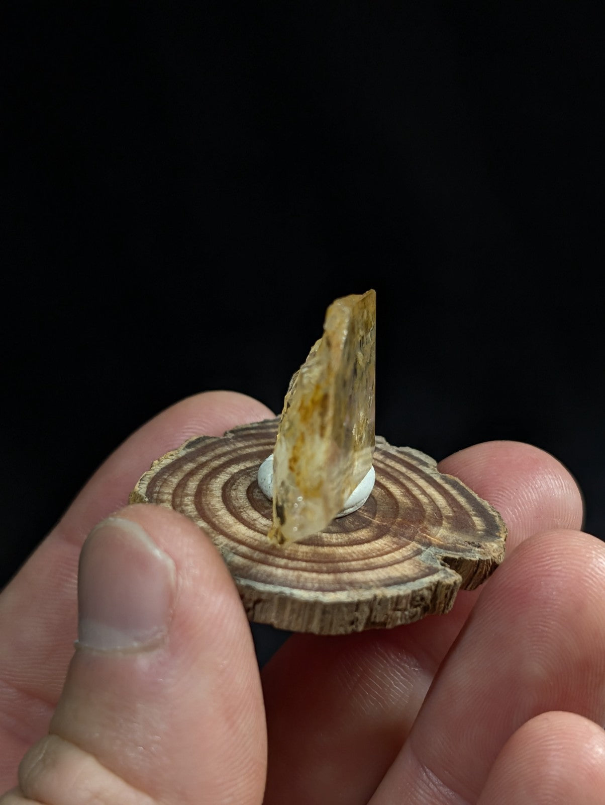 Unique etched quartz crystal point in translucent amber with internal inclusions mounted on a wooden slice base
