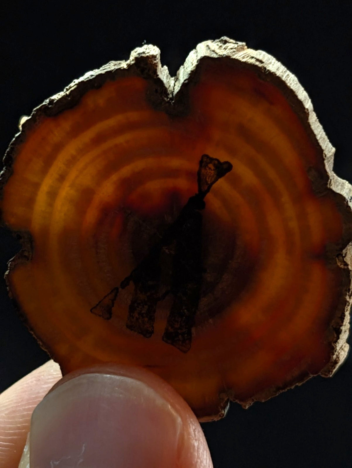 A polished amber slice with dark inlaid silhouette of two figures holding rifles in unique etched quartz crystal point from arkansas
