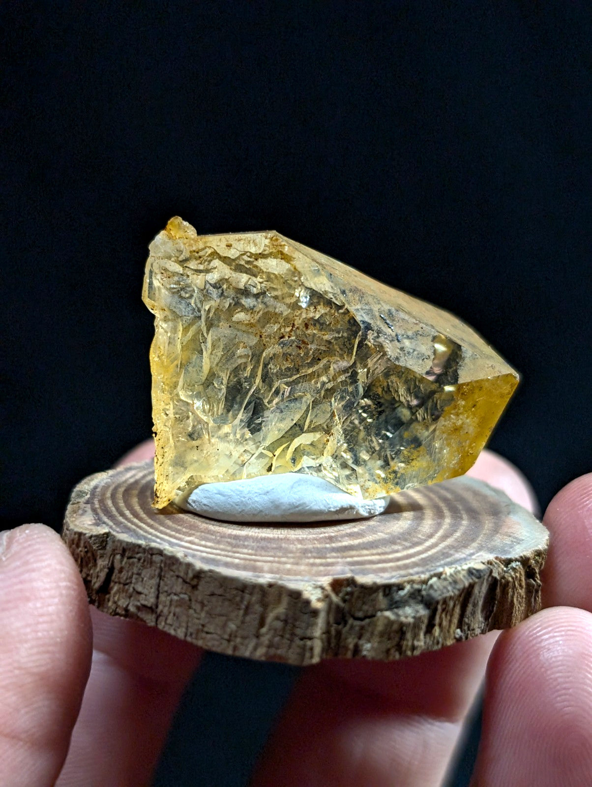 A translucent golden-yellow amber specimen with natural inclusions, displayed on a rustic wooden slice.
