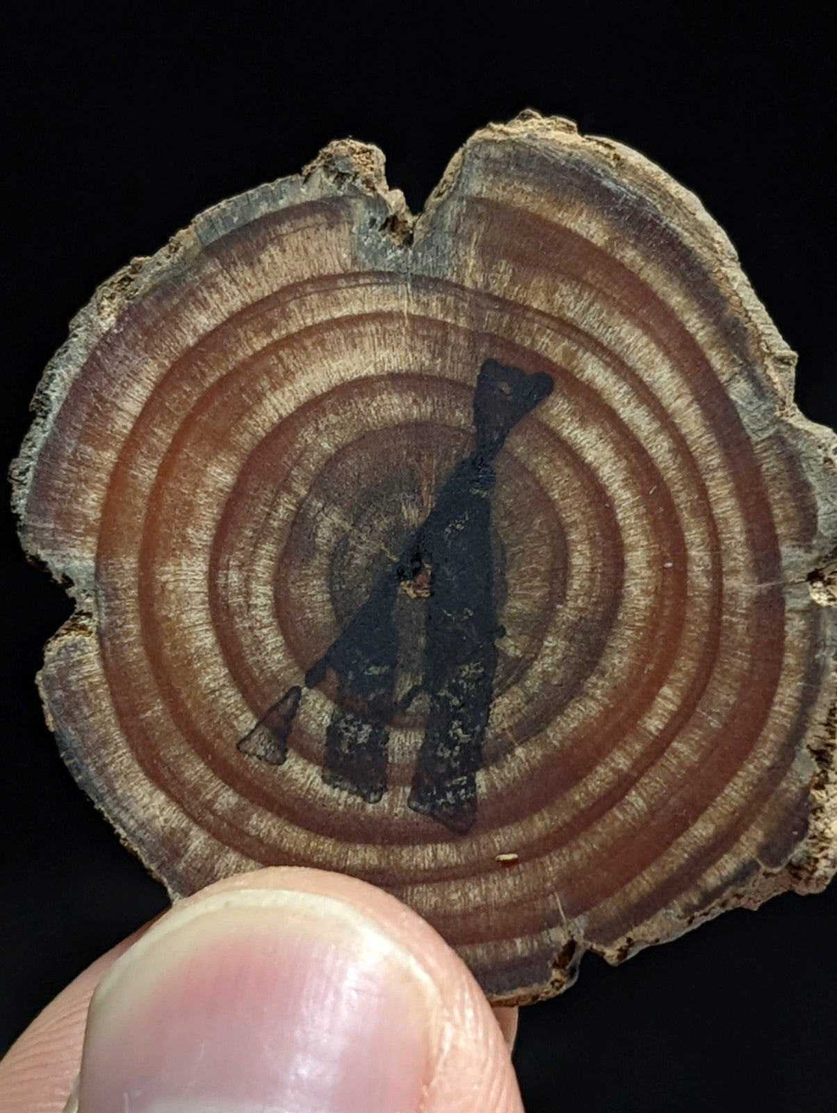A unique etched quartz crystal point with a rustic circular wood slice base featuring growth rings and an abstract figure