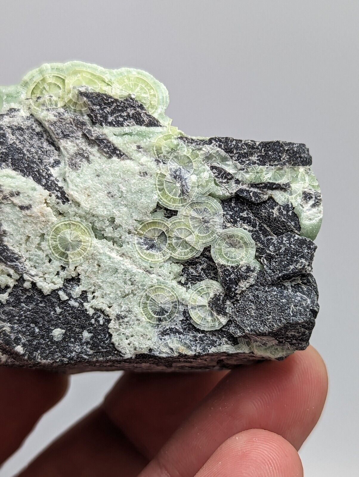 Unique Green Wavellite - Fantastic 1990s Old Stock - Mauldin Mountain Arkansas - Collectibles:Rocks Fossils &
