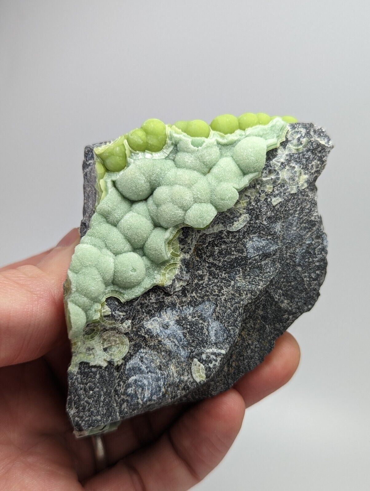 Unique Green Wavellite - Fantastic 1990s Old Stock - Mauldin Mountain Arkansas - Collectibles:Rocks Fossils &