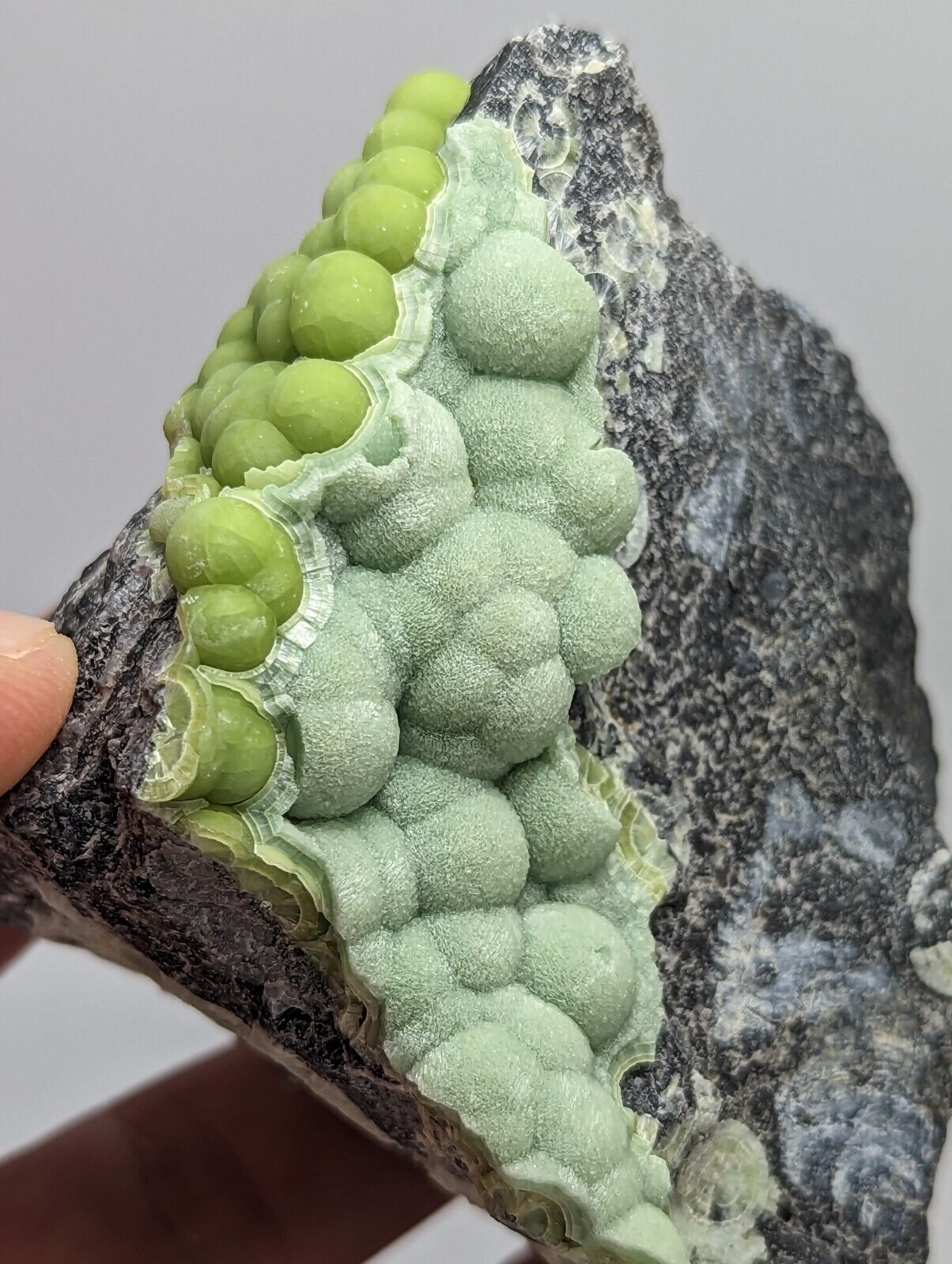 Unique Green Wavellite - Fantastic 1990s Old Stock - Mauldin Mountain Arkansas - Collectibles:Rocks Fossils &