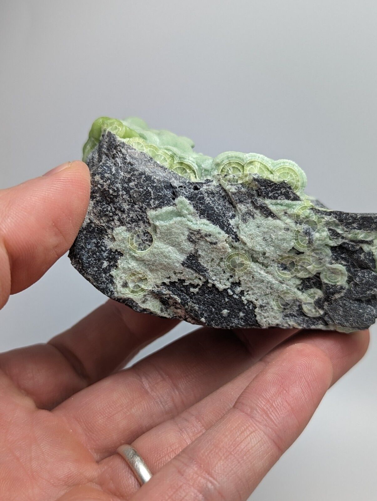 Unique Green Wavellite - Fantastic 1990s Old Stock - Mauldin Mountain Arkansas - Collectibles:Rocks Fossils &