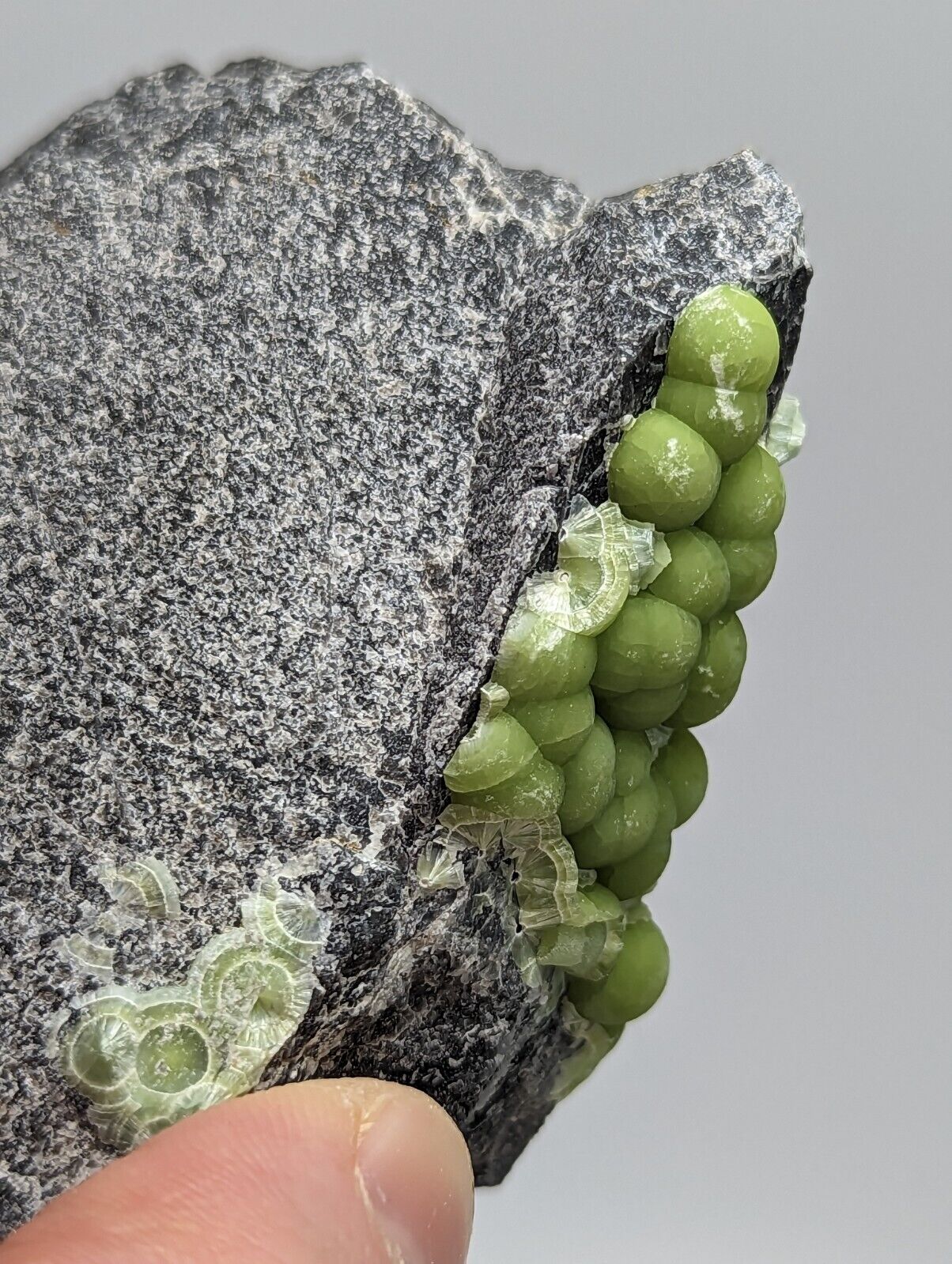 Unique Green Wavellite - Fantastic 1990s Old Stock - Mauldin Mountain Arkansas - Collectibles:Rocks Fossils &