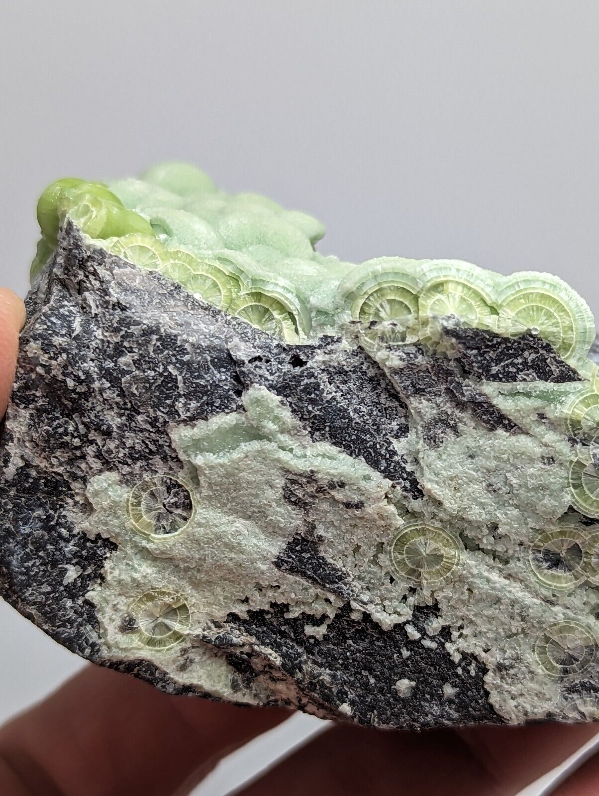 Unique Green Wavellite - Fantastic 1990s Old Stock - Mauldin Mountain Arkansas - Collectibles:Rocks Fossils &