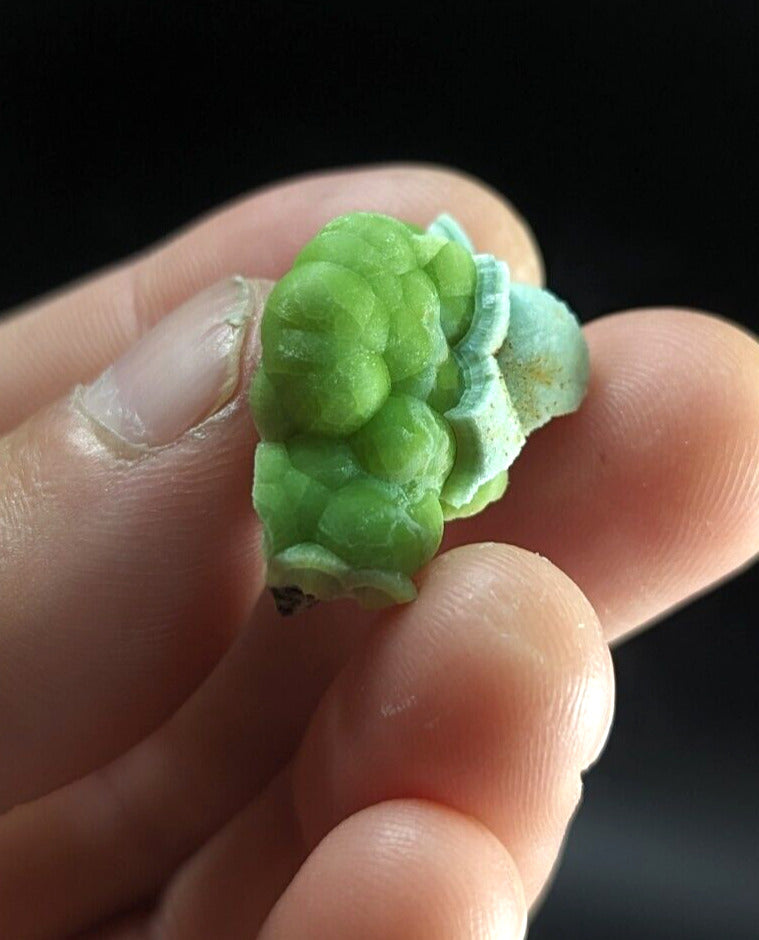 Unique Green Wavellite - Fantastic Old Stock - Mauldin Mountain Arkansas ooak - Collectibles:Rocks Fossils &