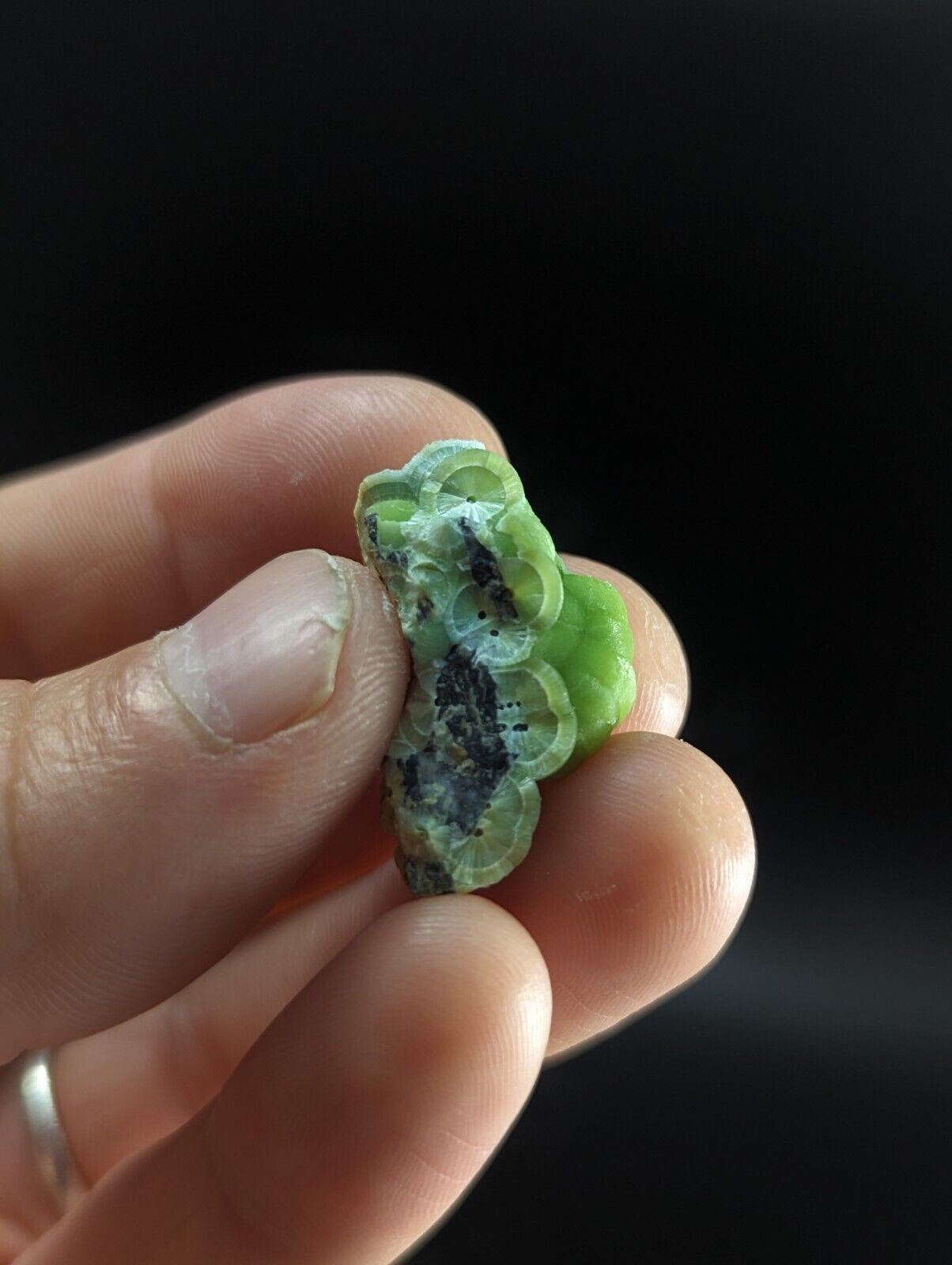 Unique Green Wavellite - Fantastic Old Stock - Mauldin Mountain Arkansas ooak - Collectibles:Rocks Fossils &