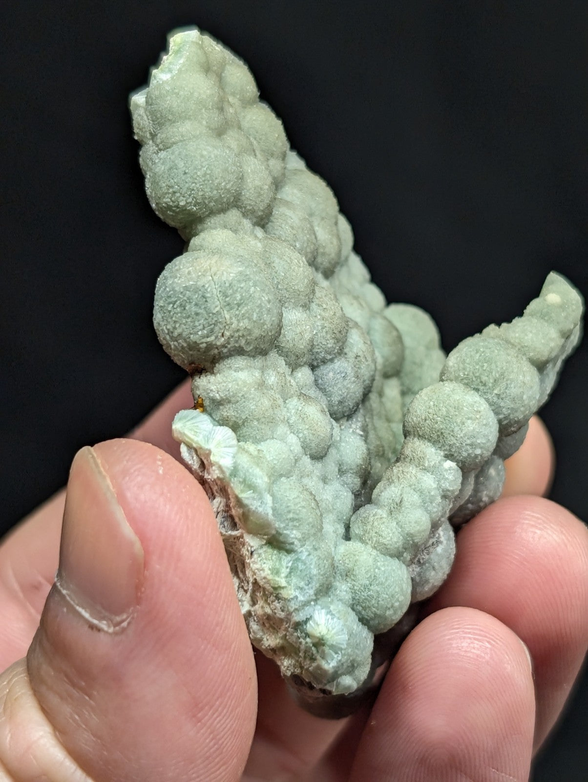 A pale green, bubbly mineral specimen with a textured, clustered surface.