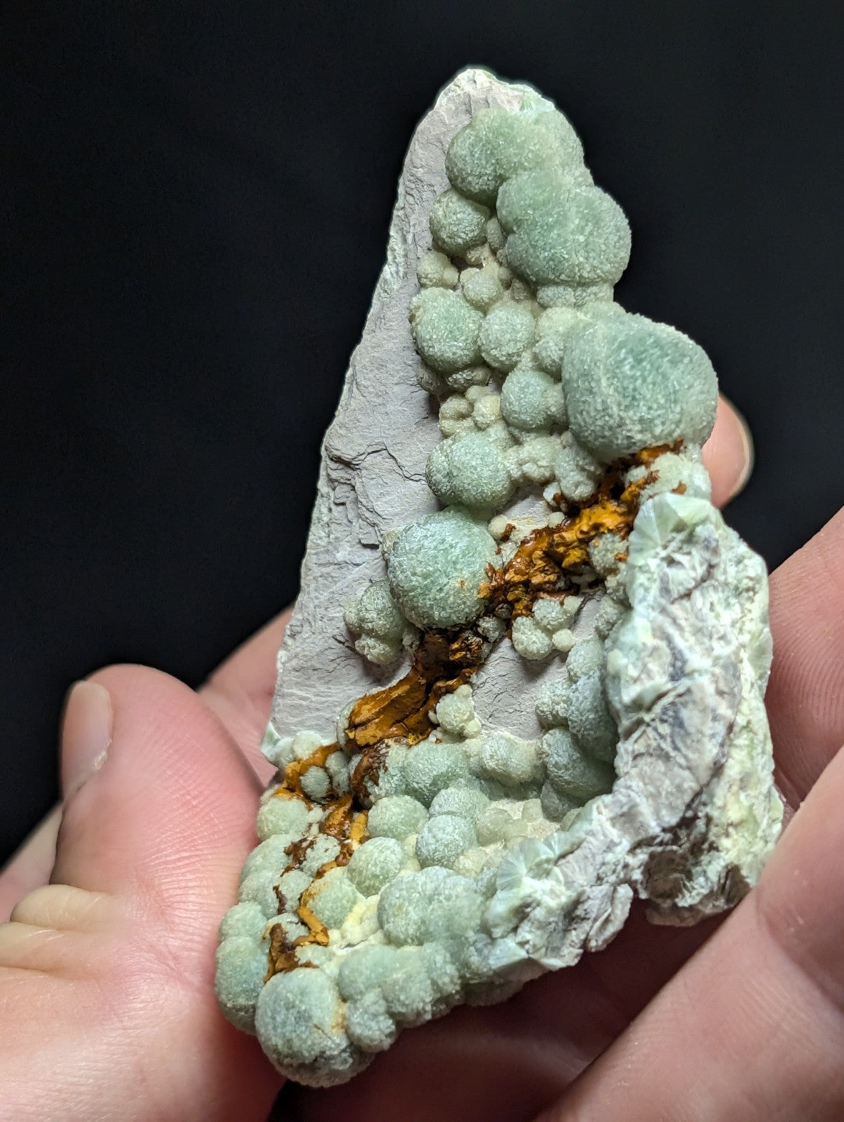 A hand holds a striking mineral specimen featuring clusters of pale green, spherical formations growing from a rough, grayish-white rock matrix with streaks of orange and yellow.