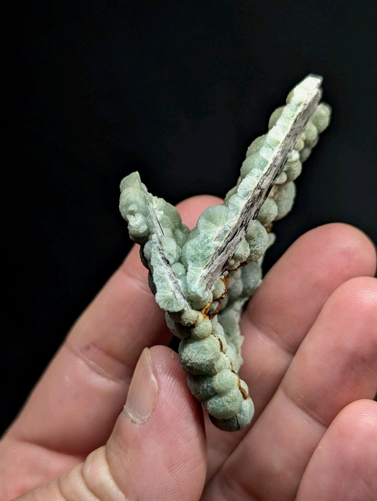 A delicate, light green mineral specimen with a textured, bumpy surface and branching crystalline formations.