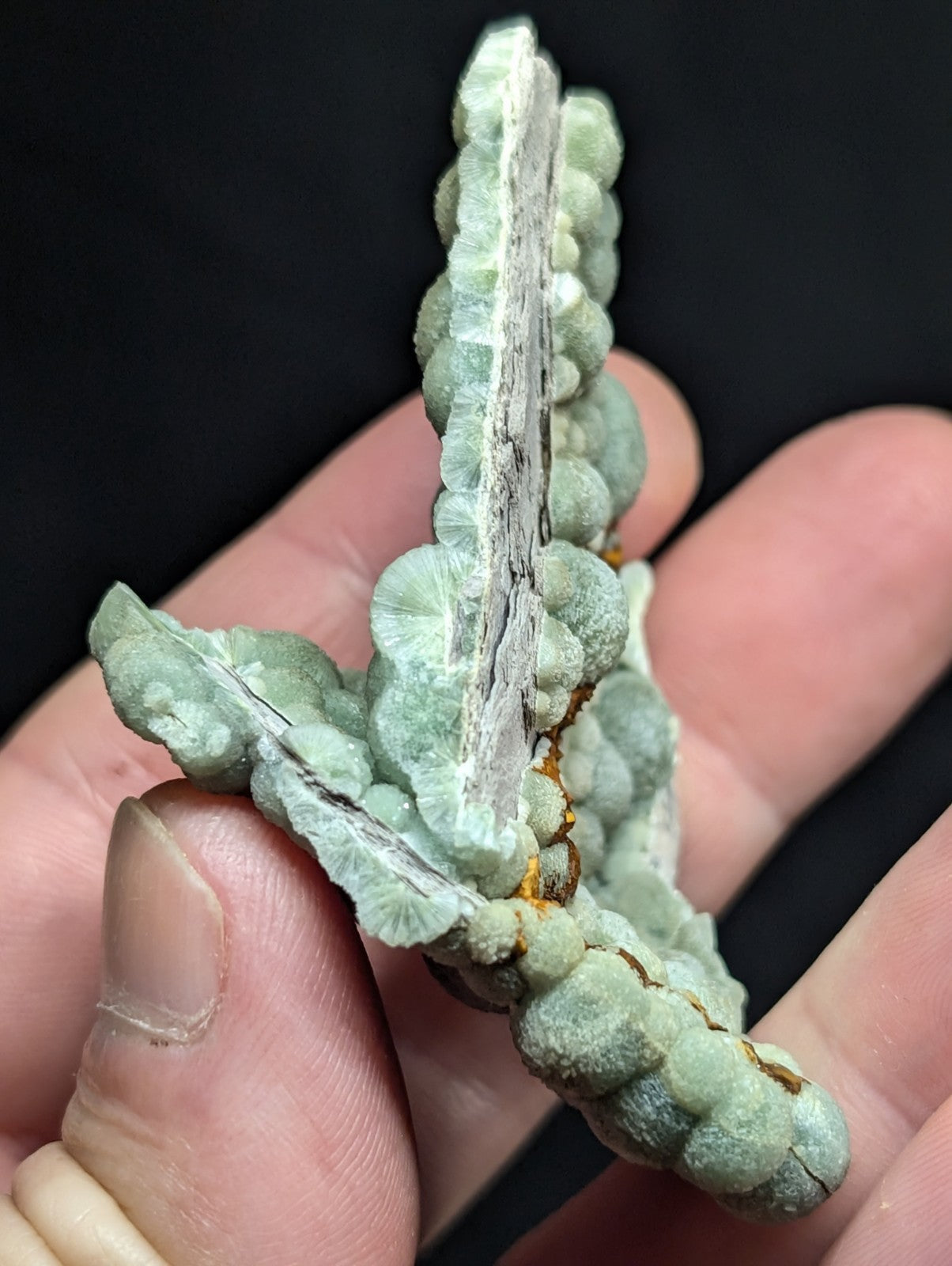 A pale green, textured mineral specimen with rounded, leaf-like formations and a central vertical crack.