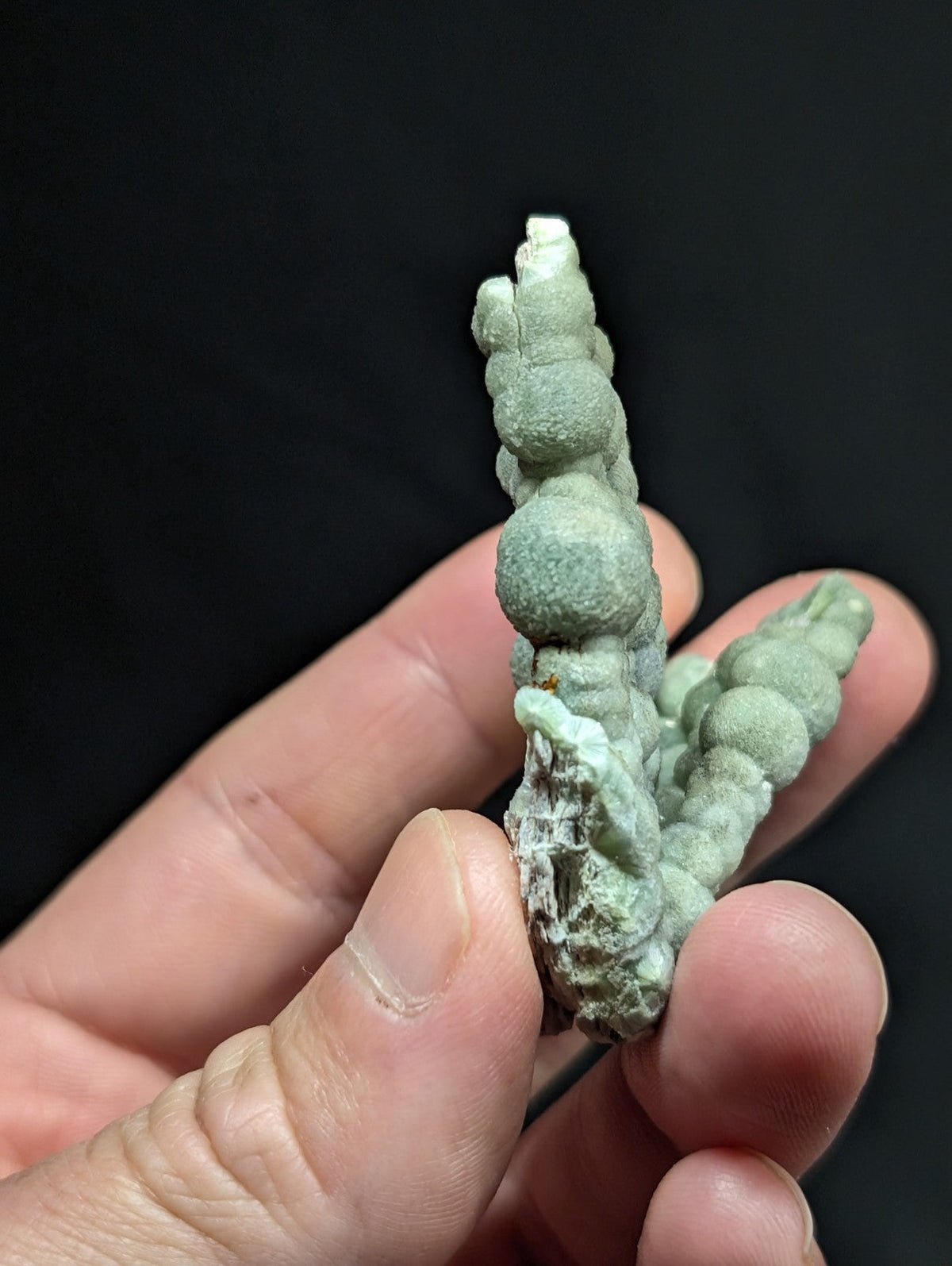 A pale green, naturally formed mineral specimen with a textured surface and rounded, bulbous growths.